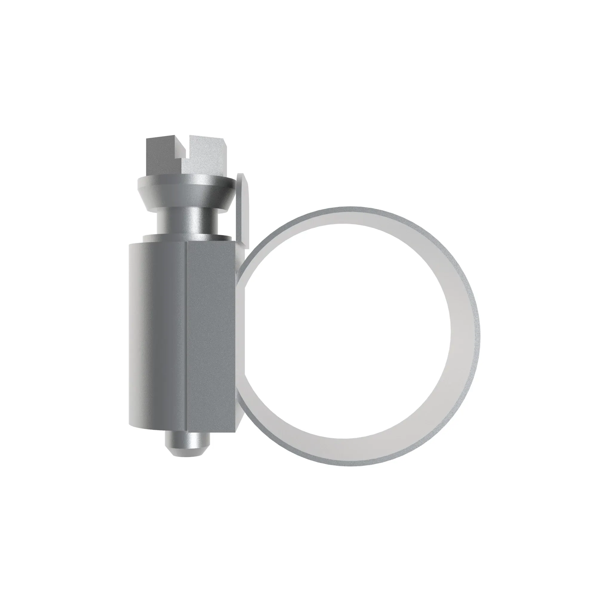 Hose Clamp