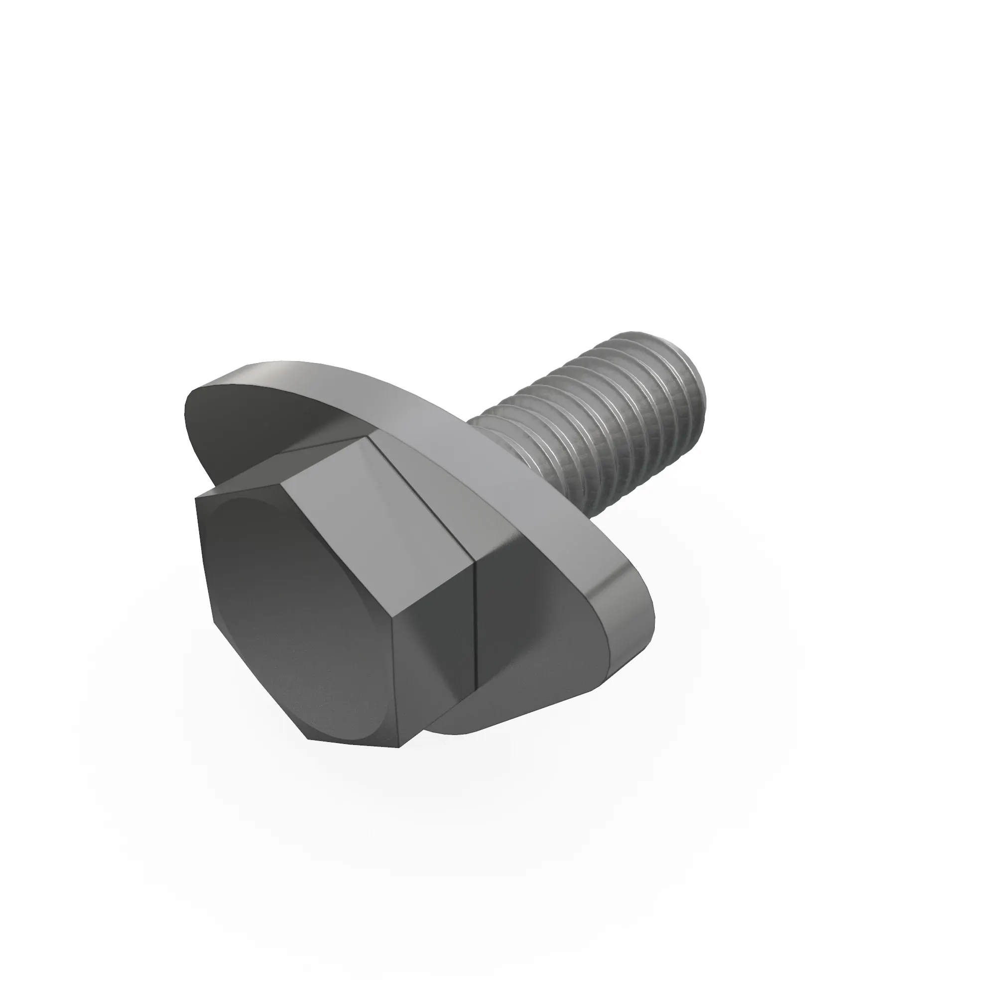 SCREW WITH WASHER