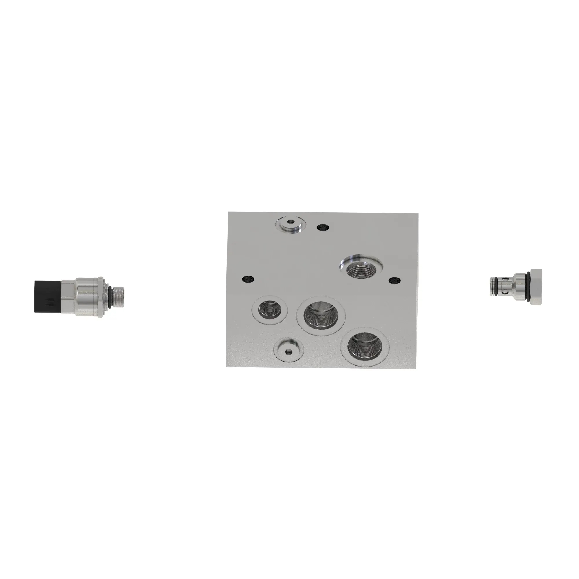 Manifold Kit