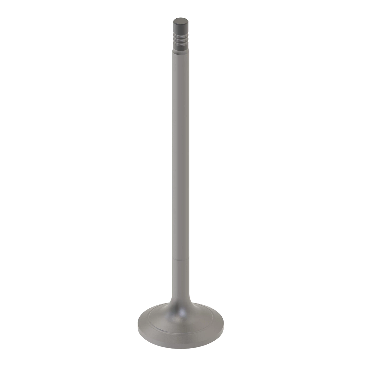 Intake Valve, Multi Bead