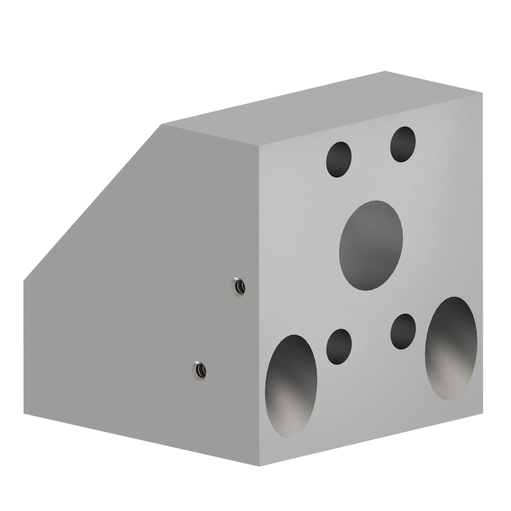 Manifold