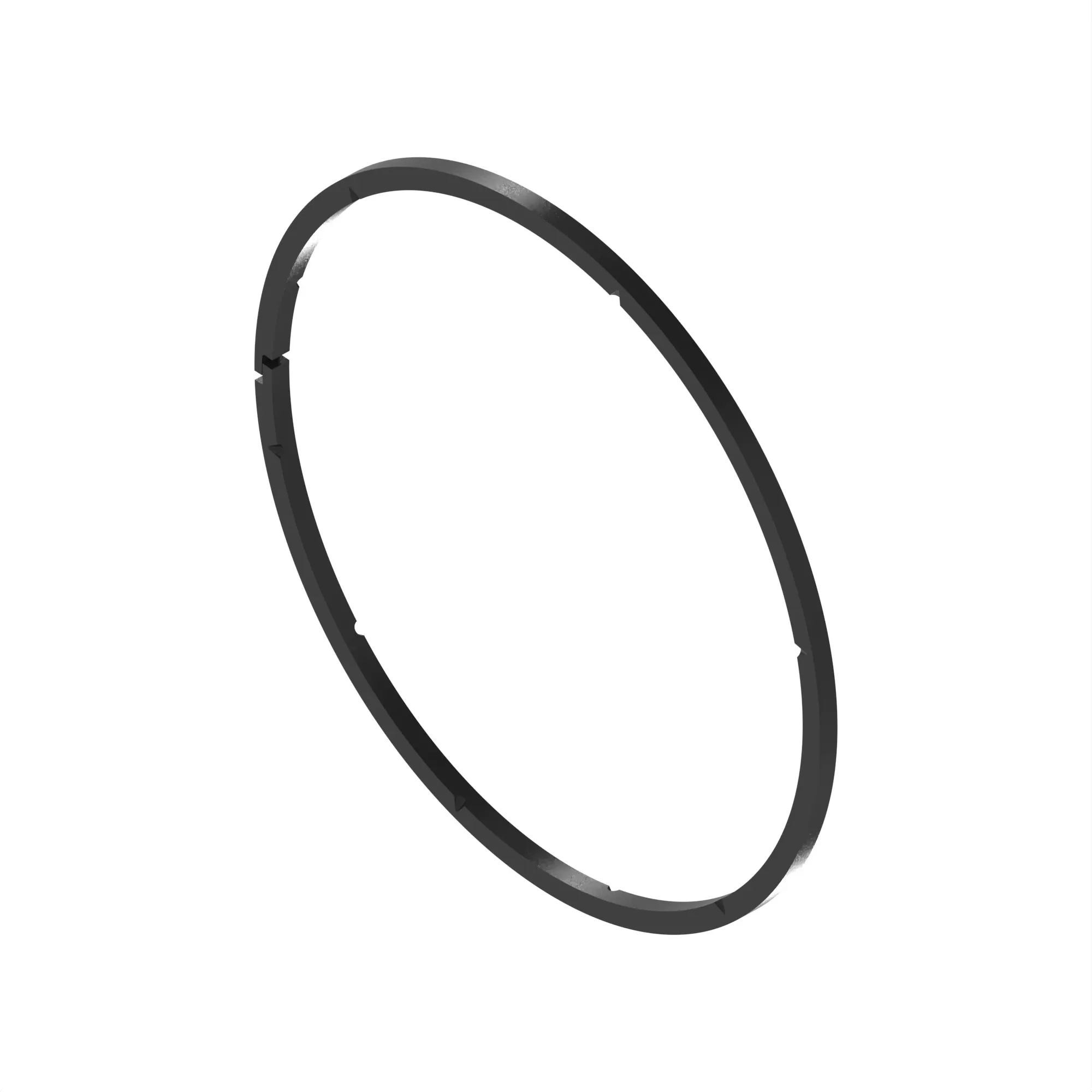 R219819: Sealing Ring
