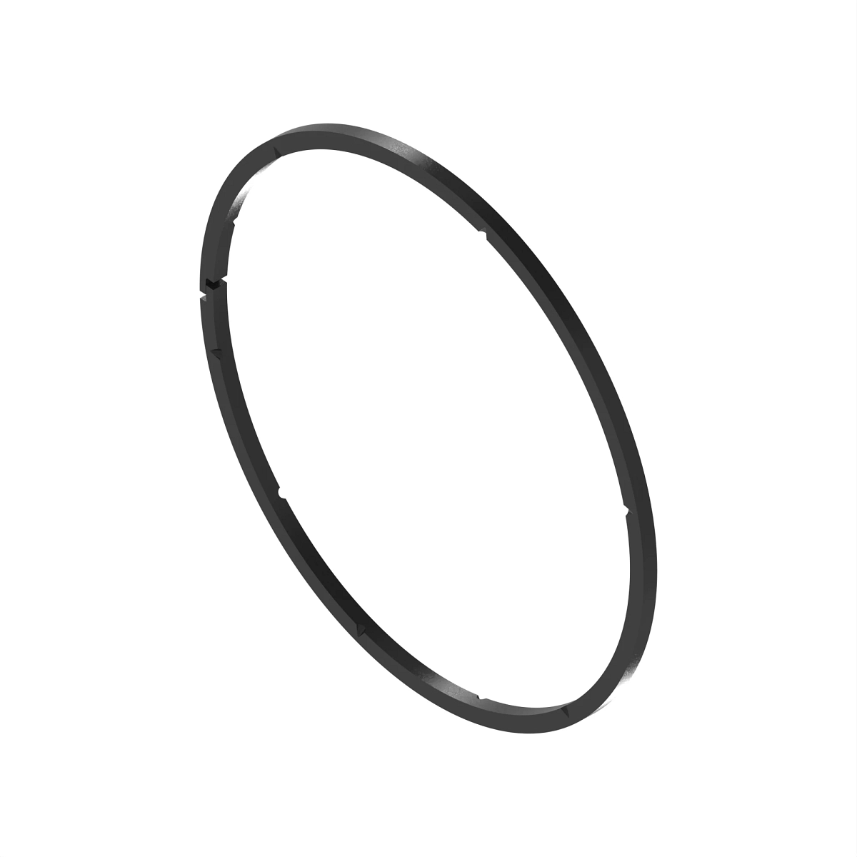 R219819: Sealing Ring