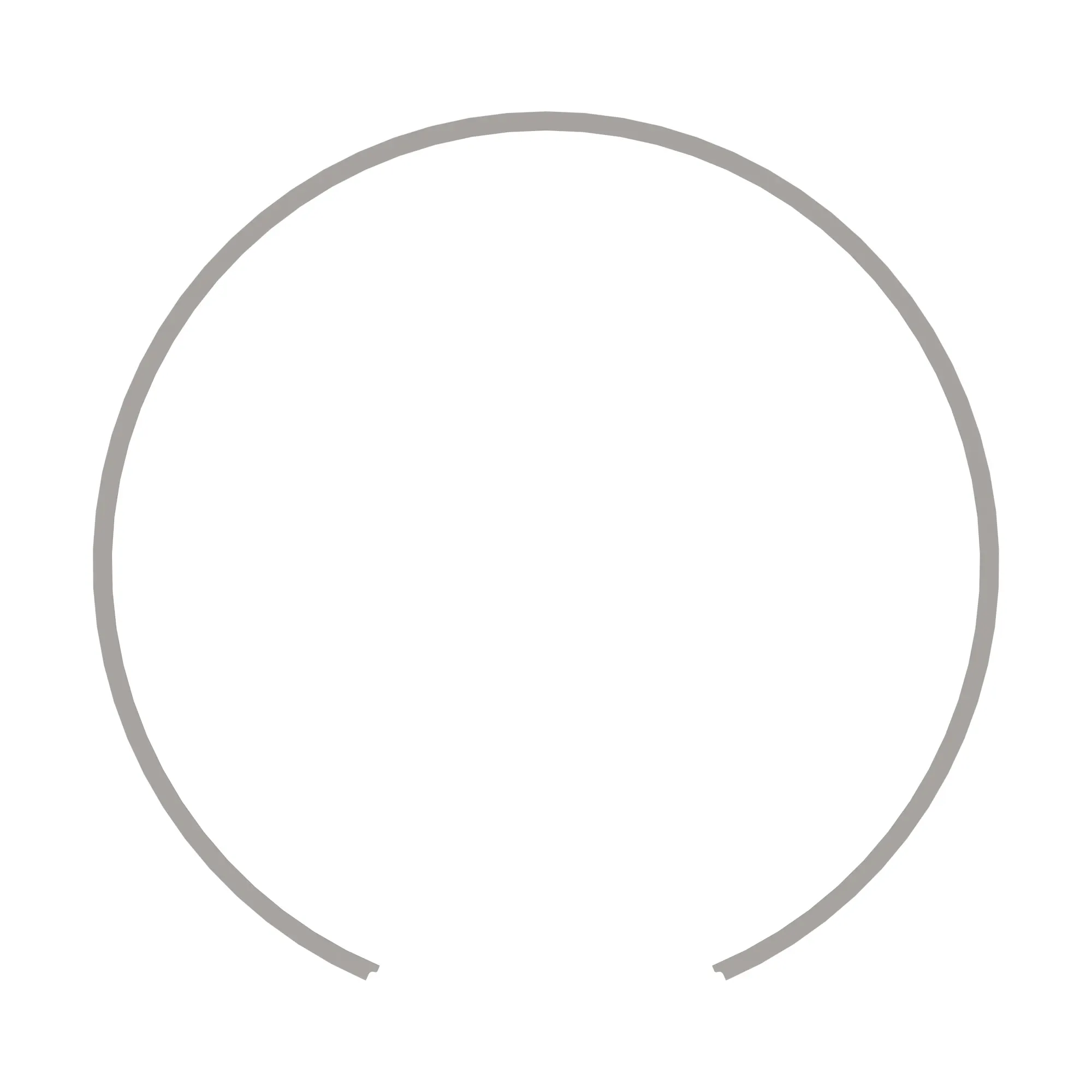 Snap Ring
