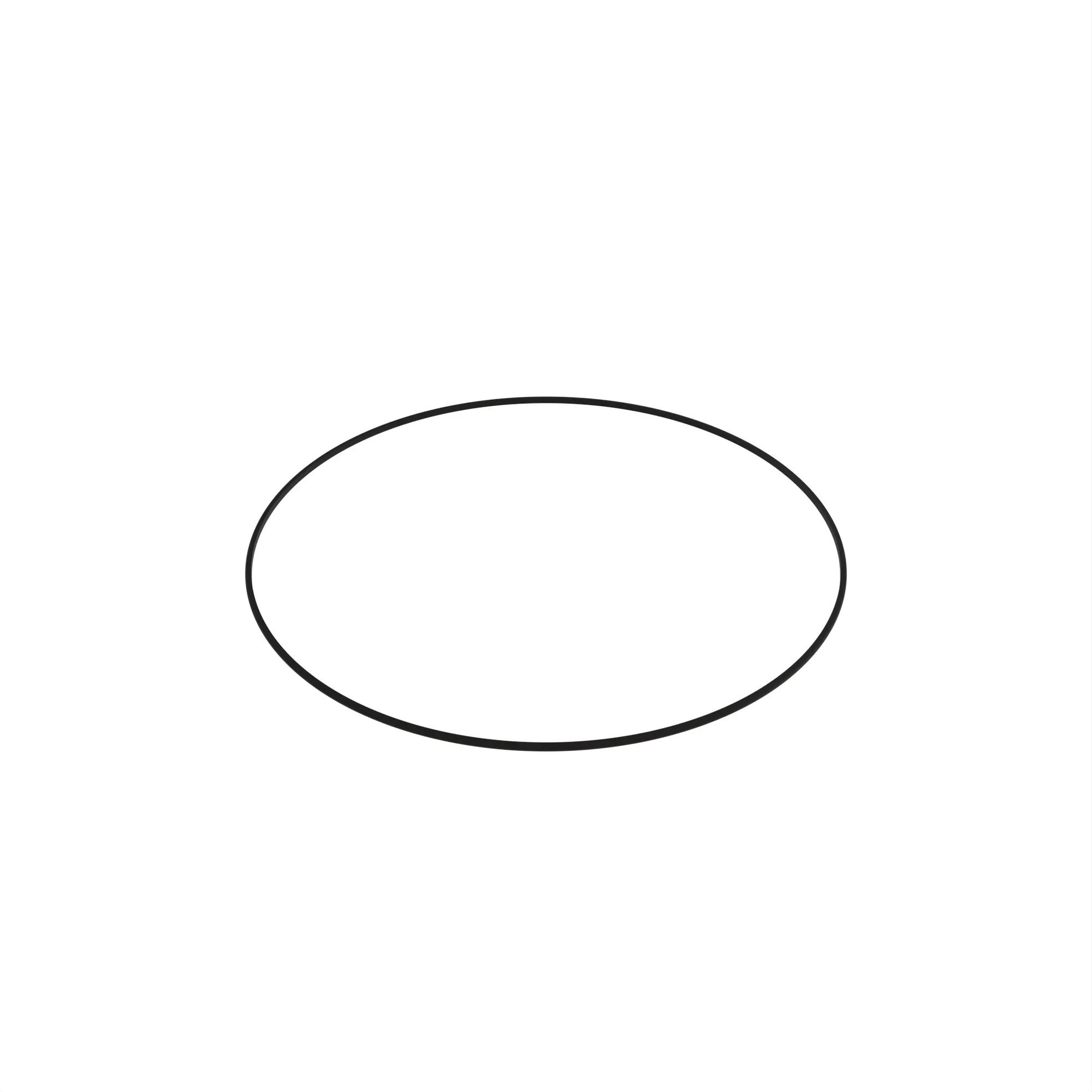 John Deere Piston and Rod Nylon Seal - R266177