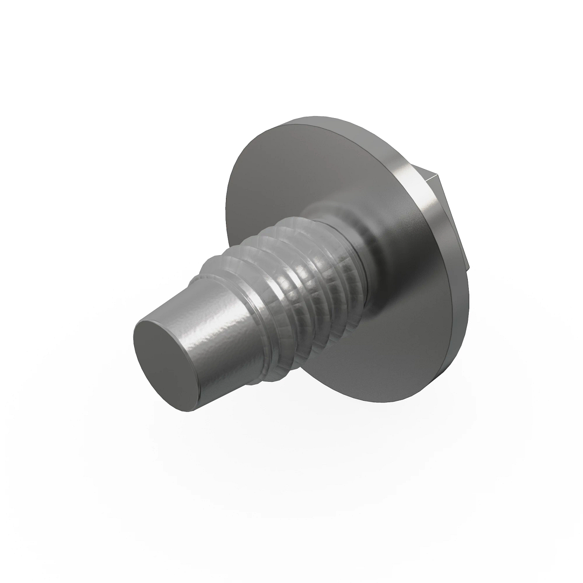 SCREW WITH WASHER