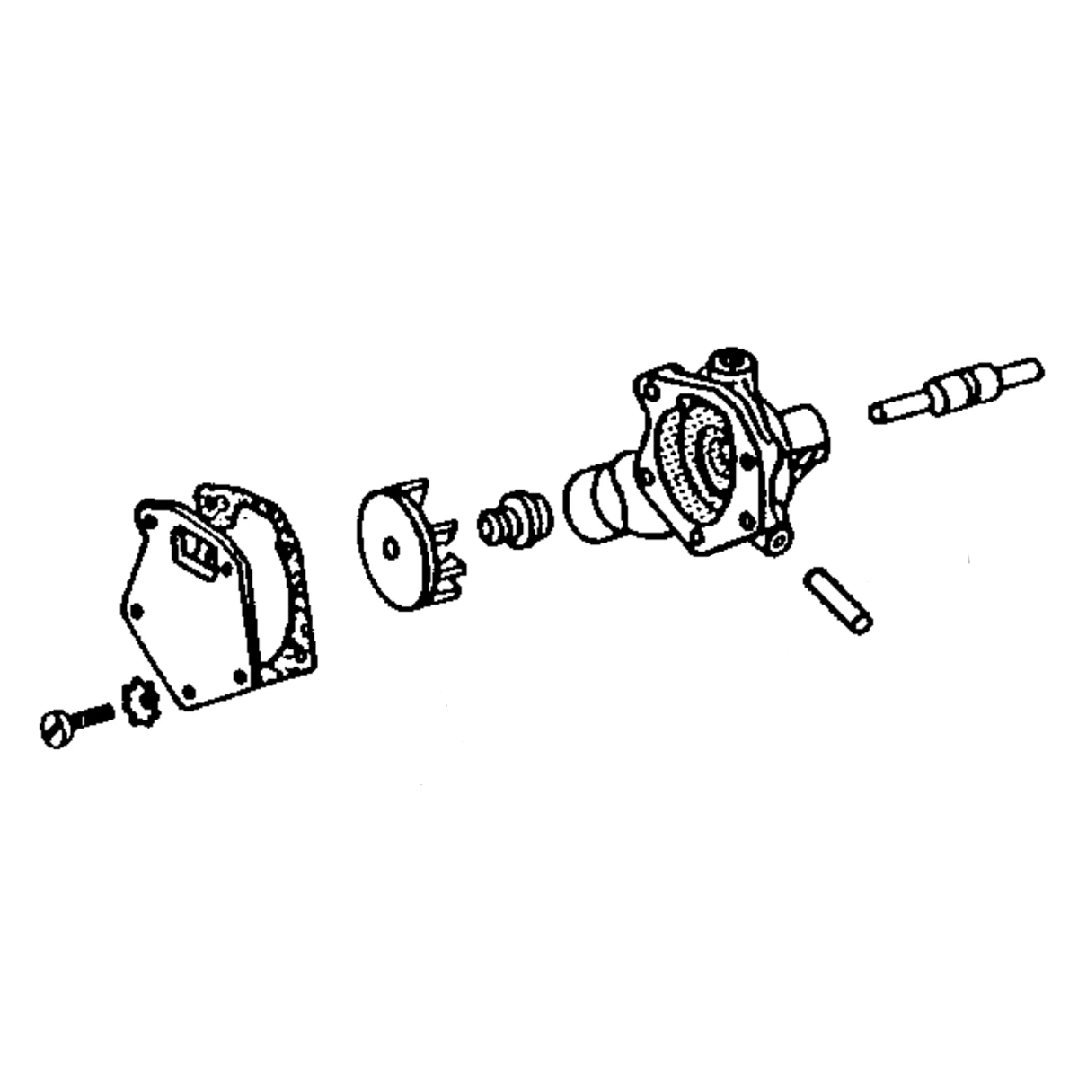 Pump, Water Assembly