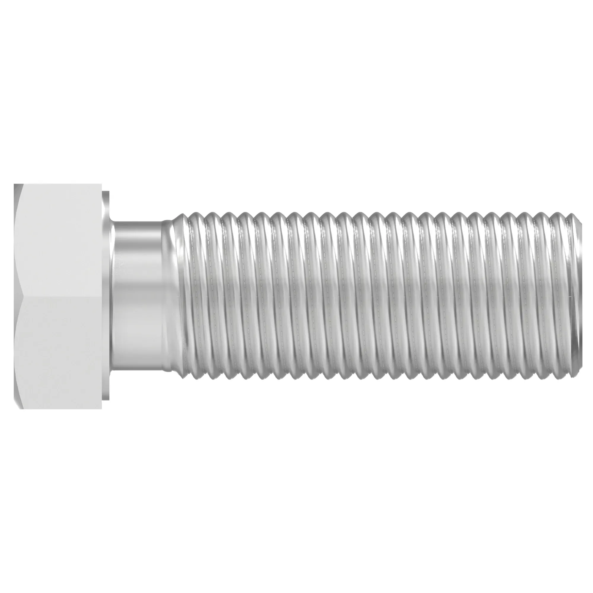 Cap Screw