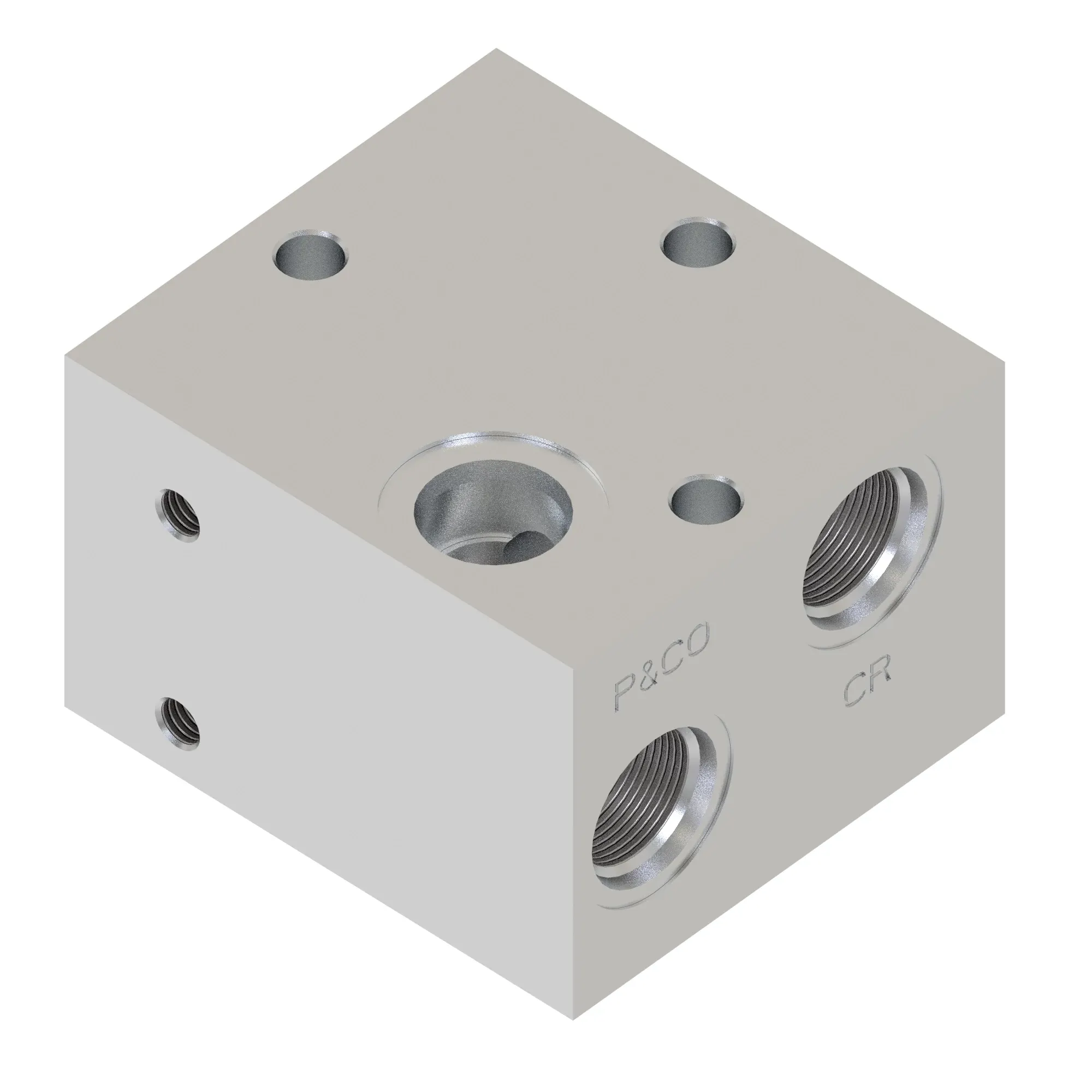 Manifold