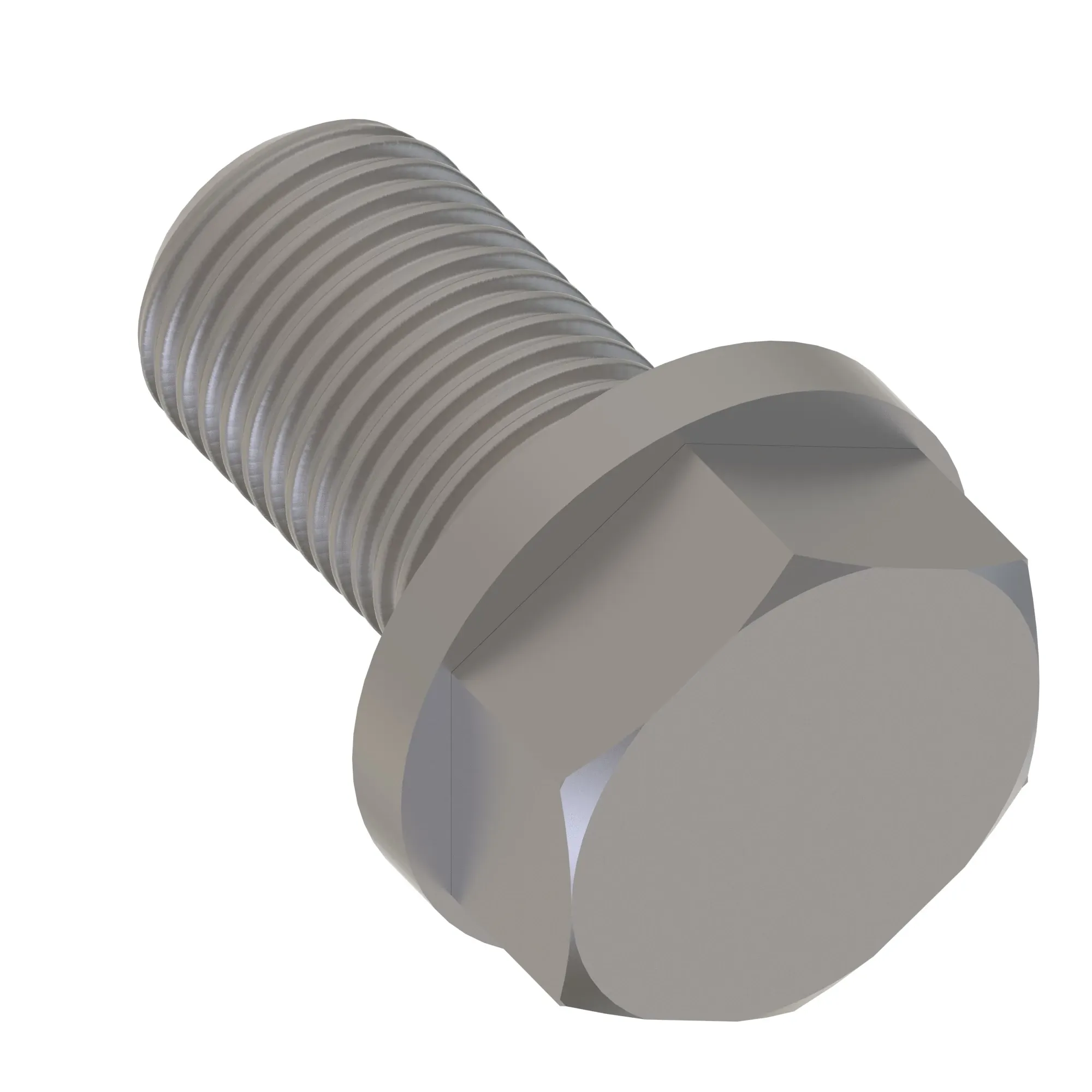 Screw With Washer