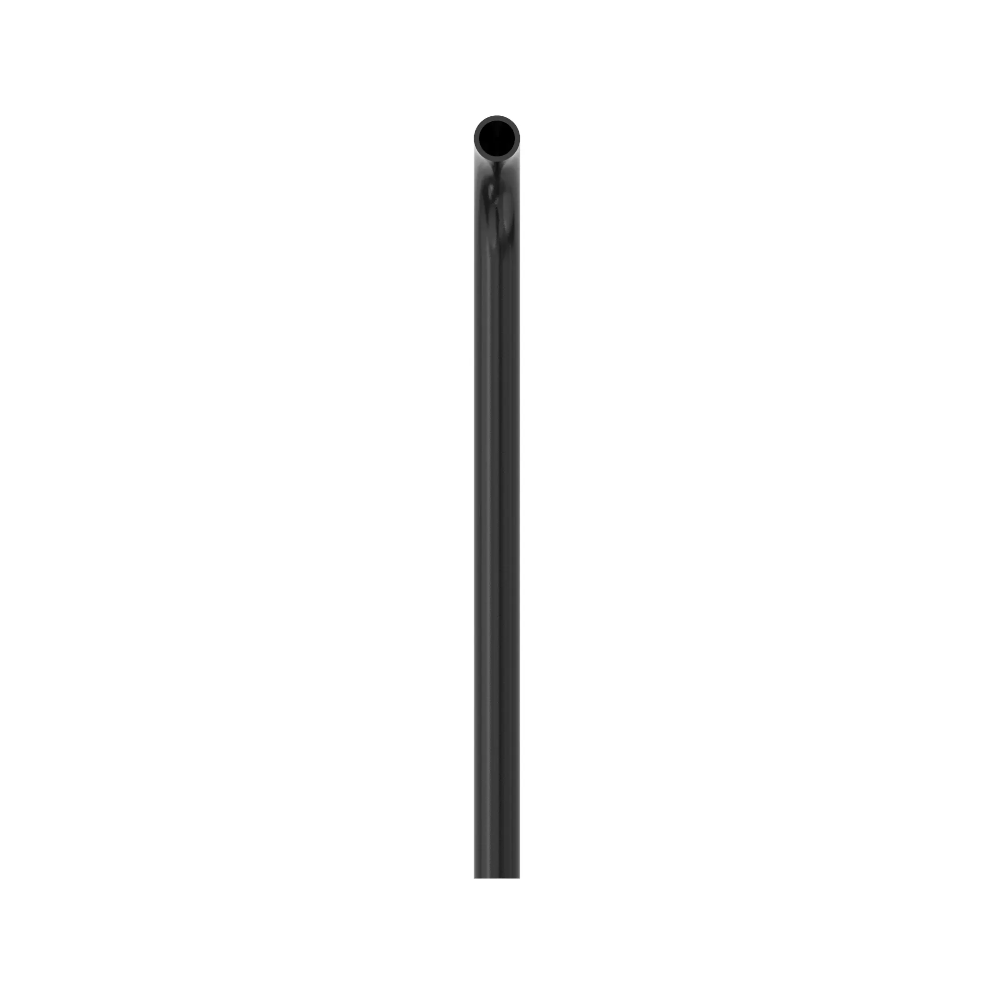Rib