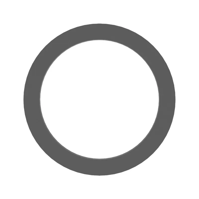 O-Ring