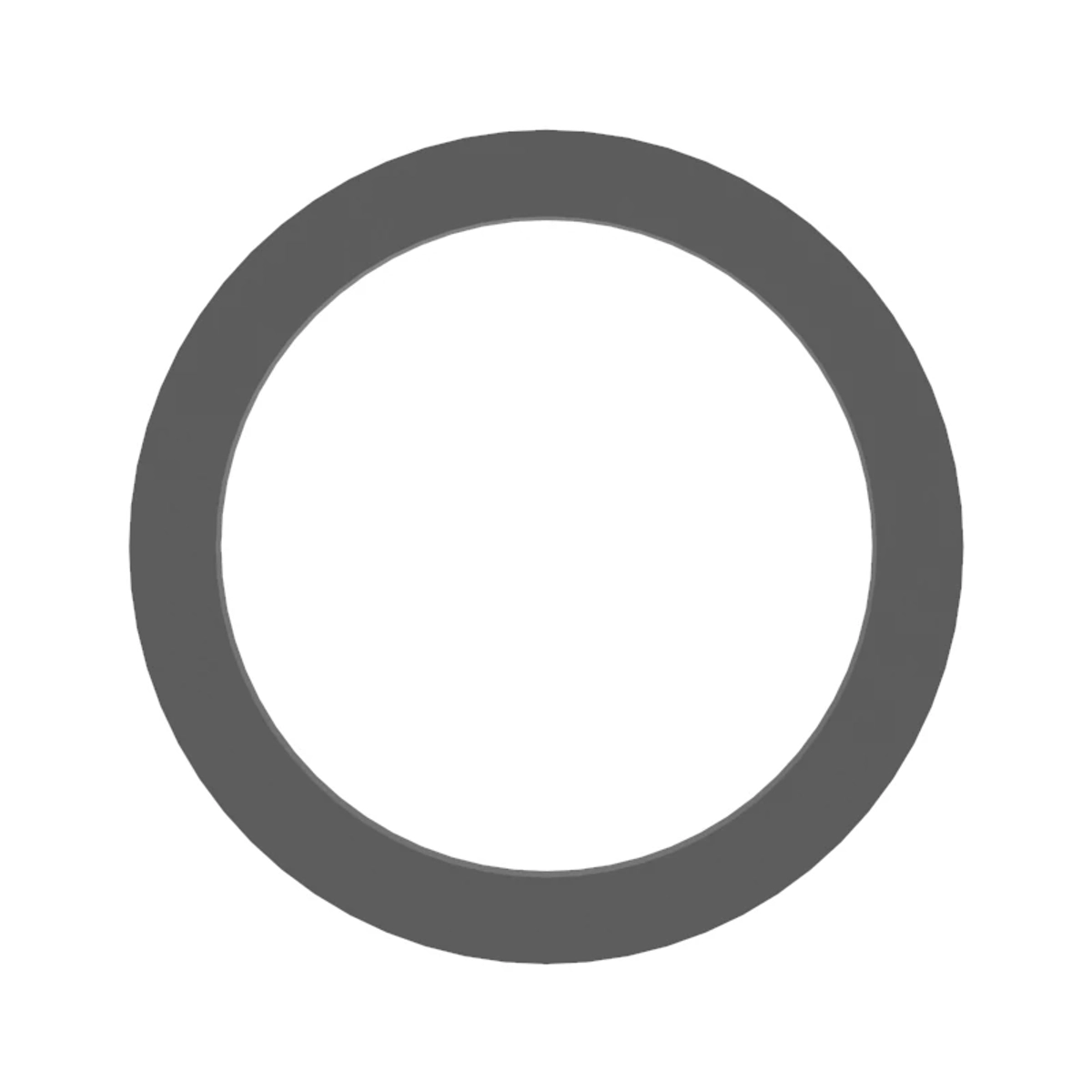 O-Ring