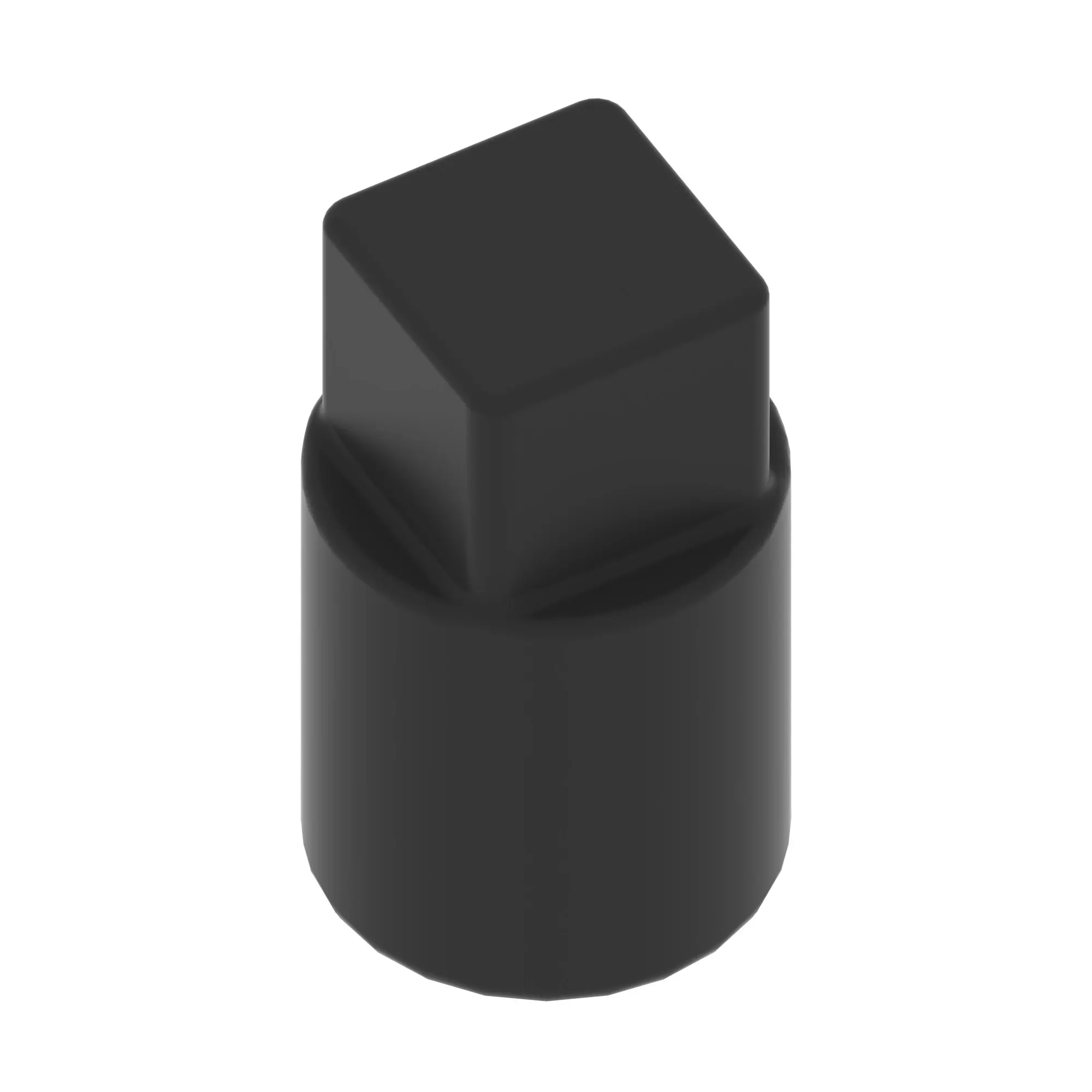 Pipe Plug