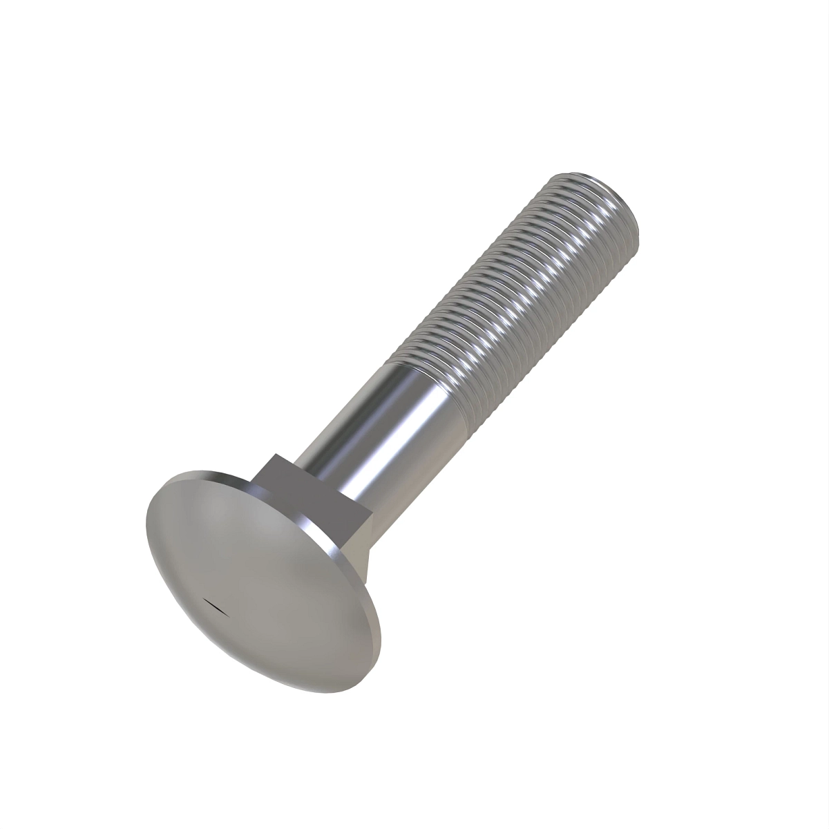 Round Head Square Neck Bolt