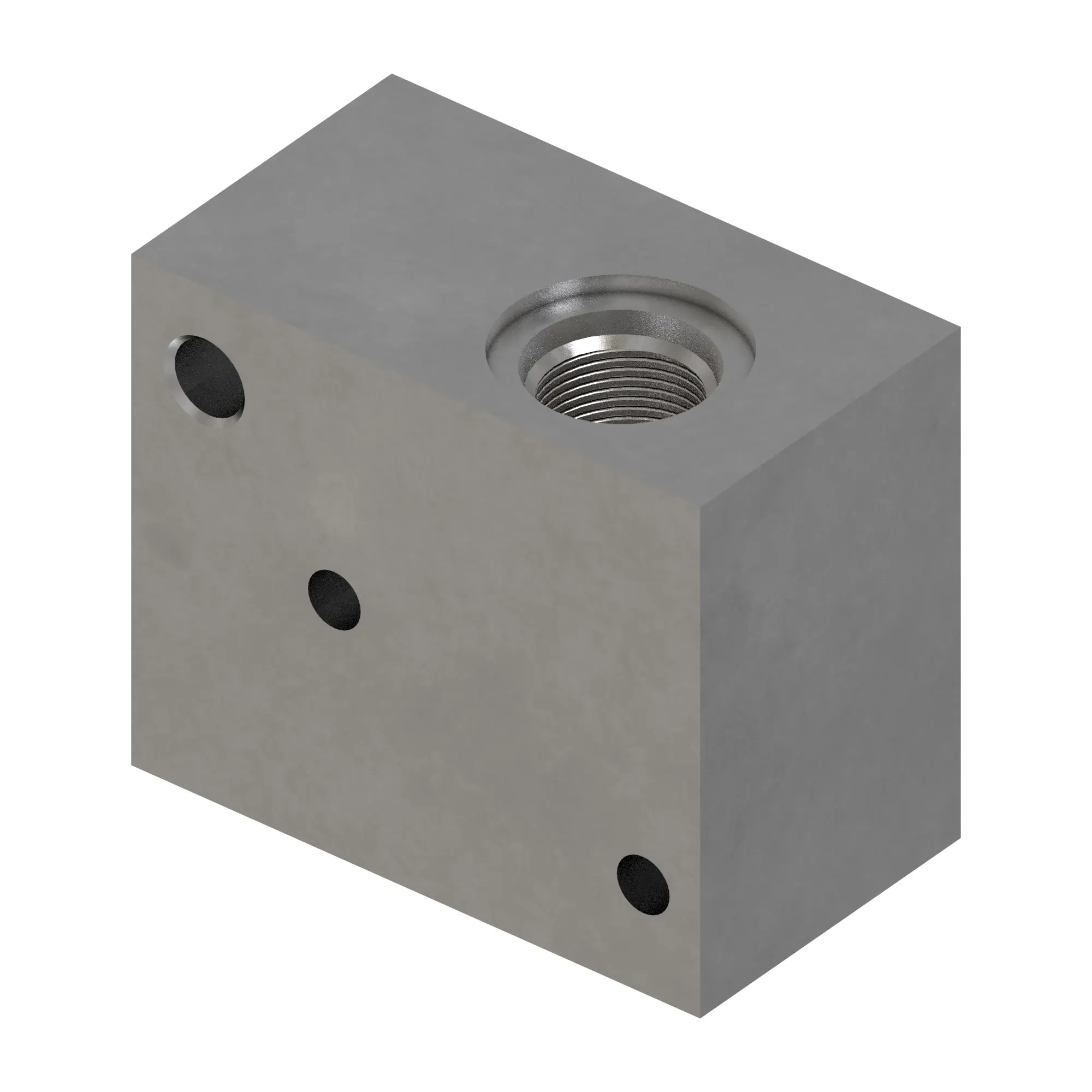 Manifold