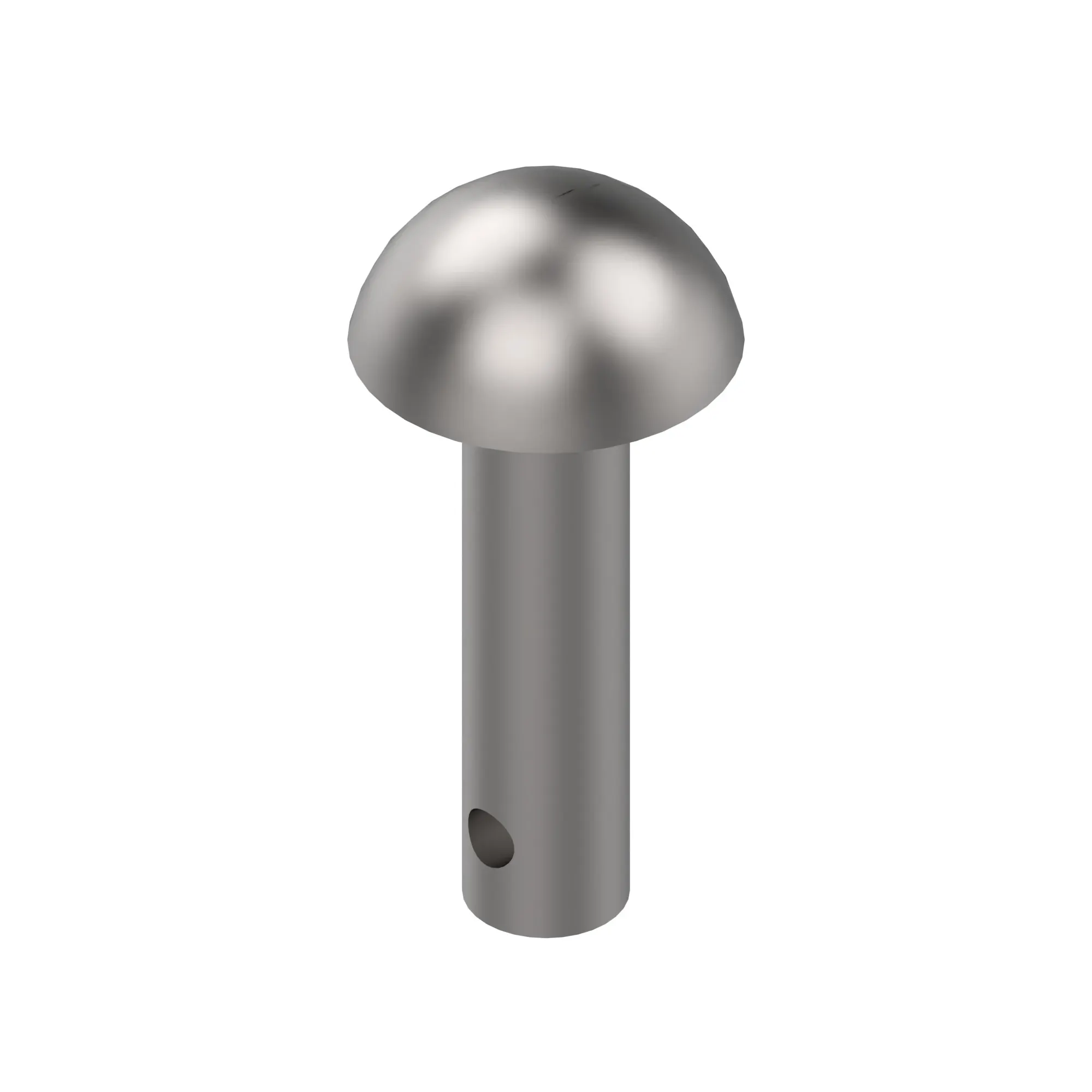 RIVET