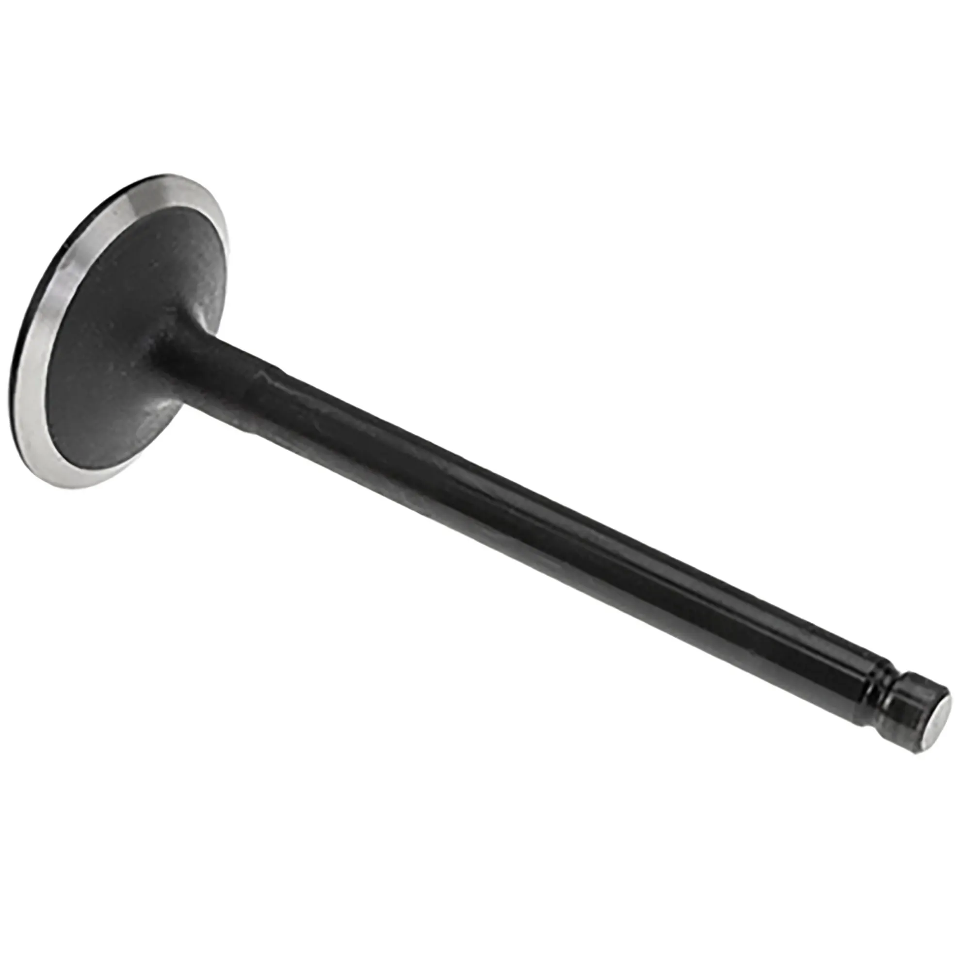 Intake Valve