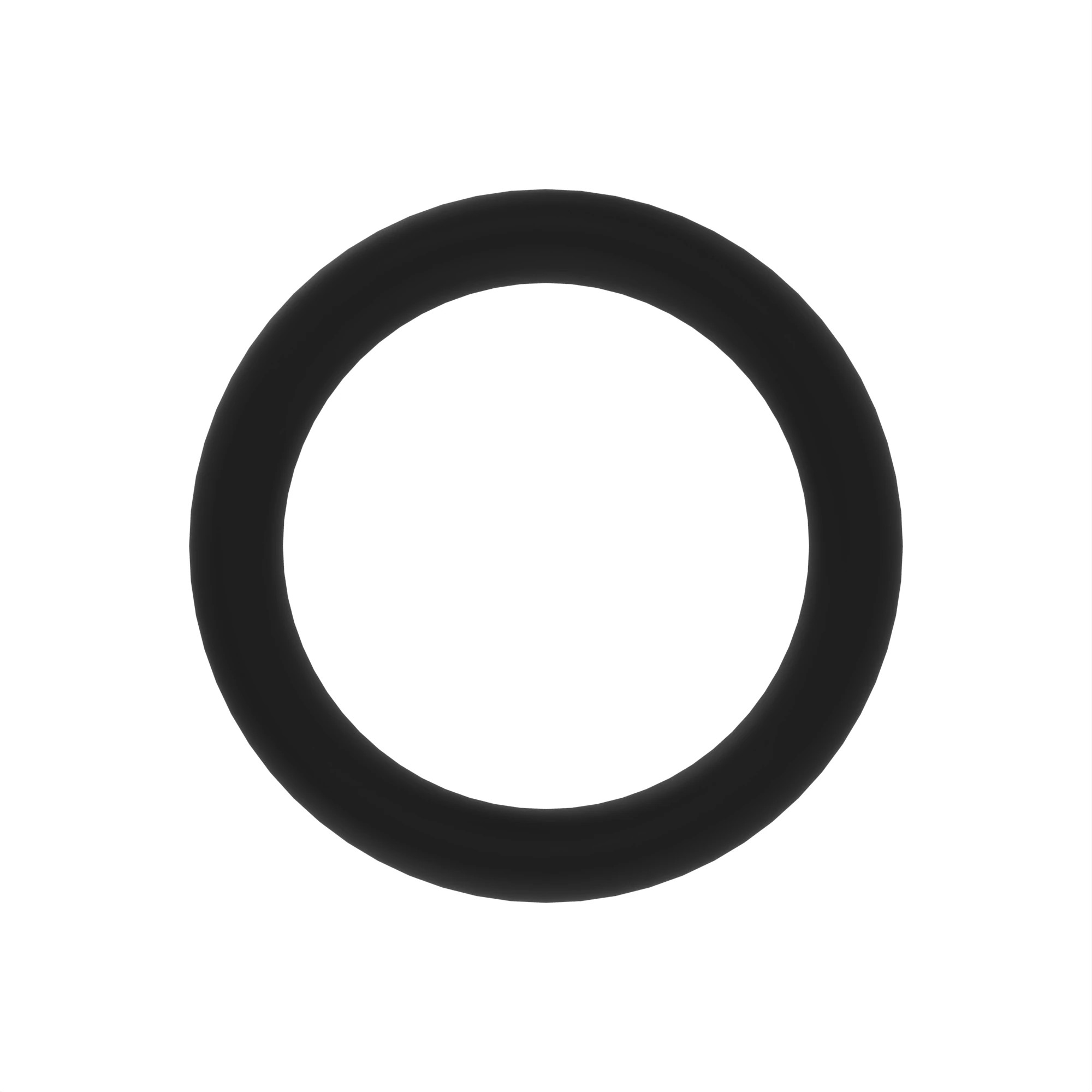 O-Ring