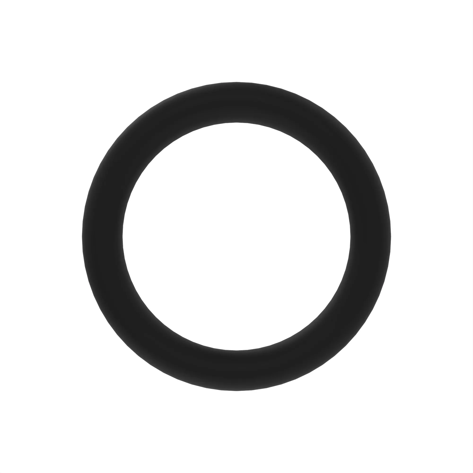 O-Ring