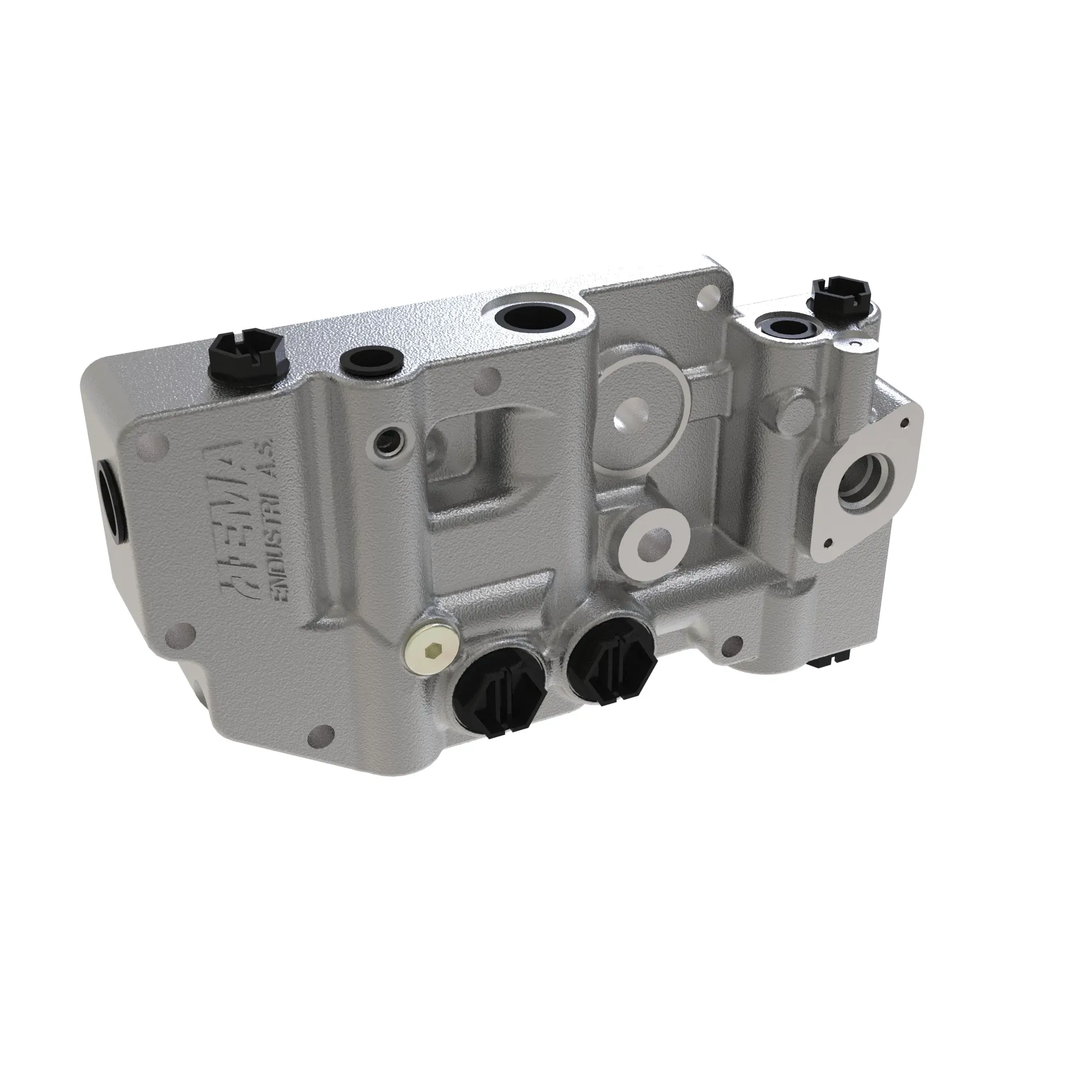 Manifold