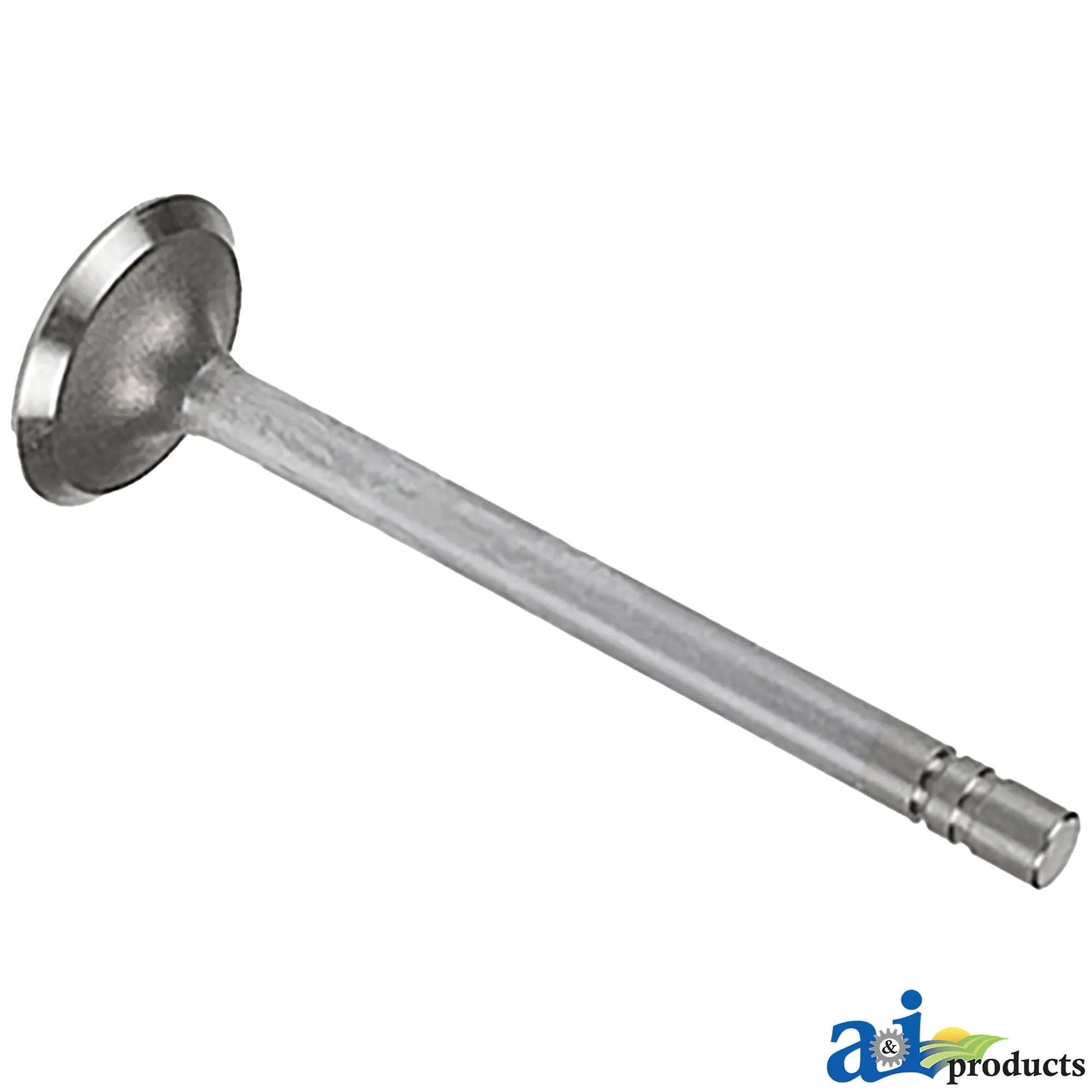 Exhaust Valve