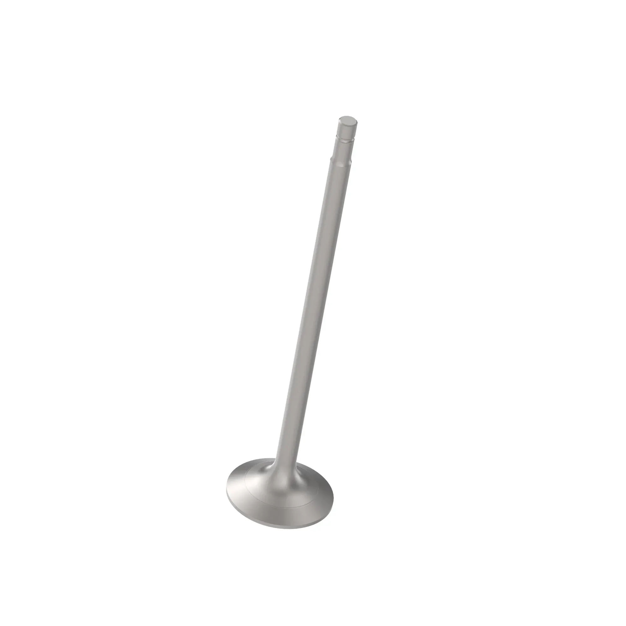 Exhaust Valve