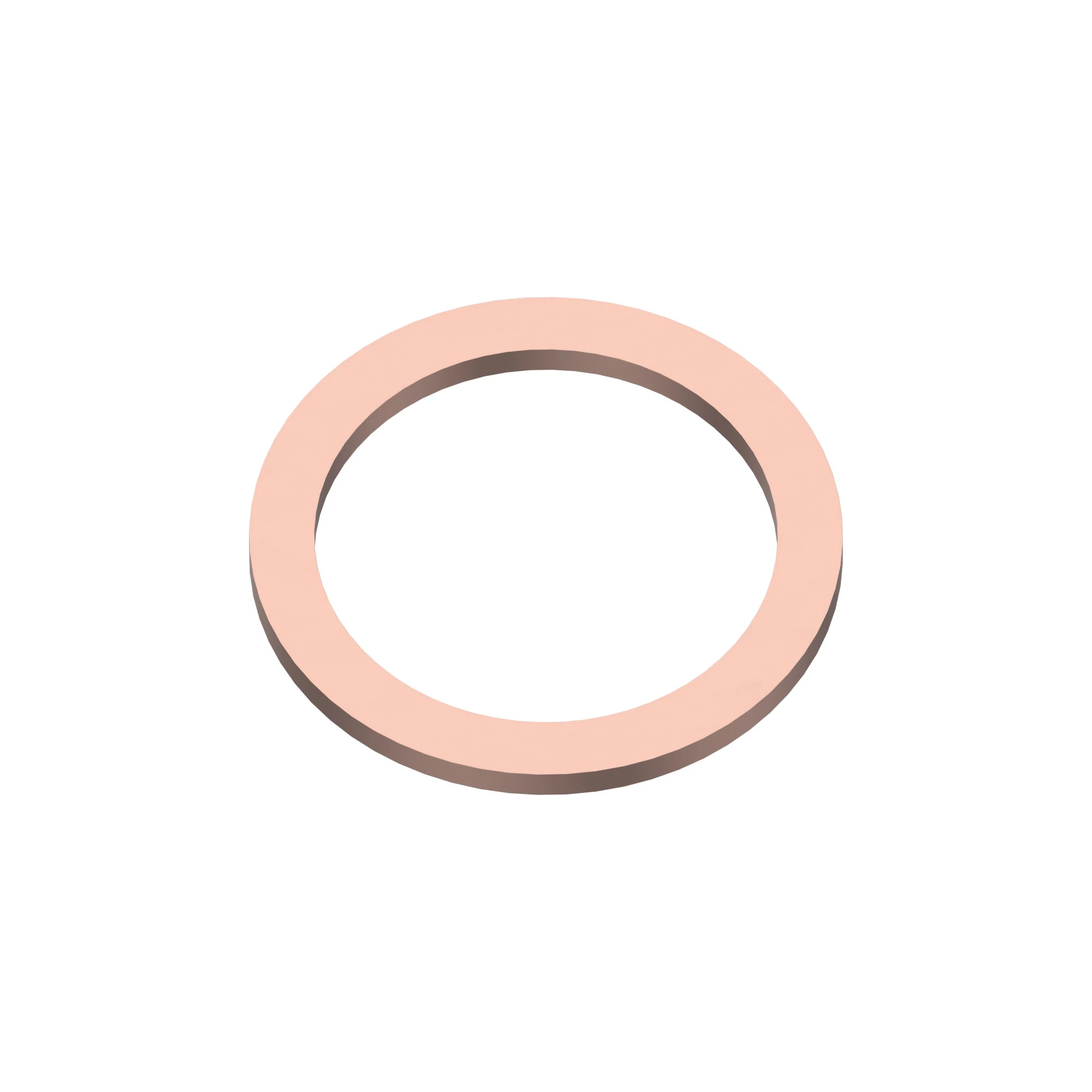 Sealing Ring