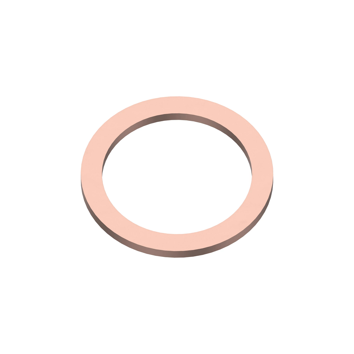 Sealing Ring