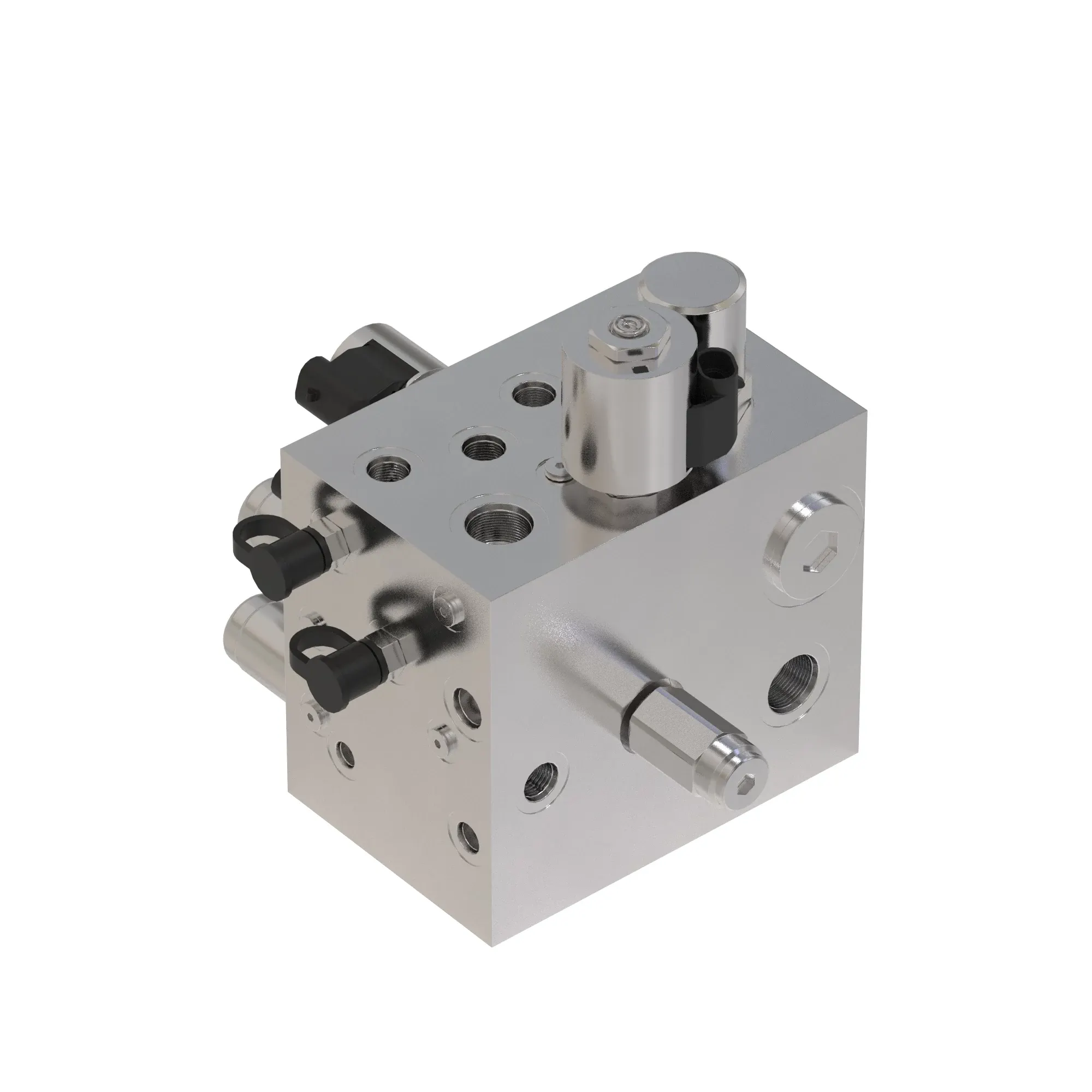 Manifold