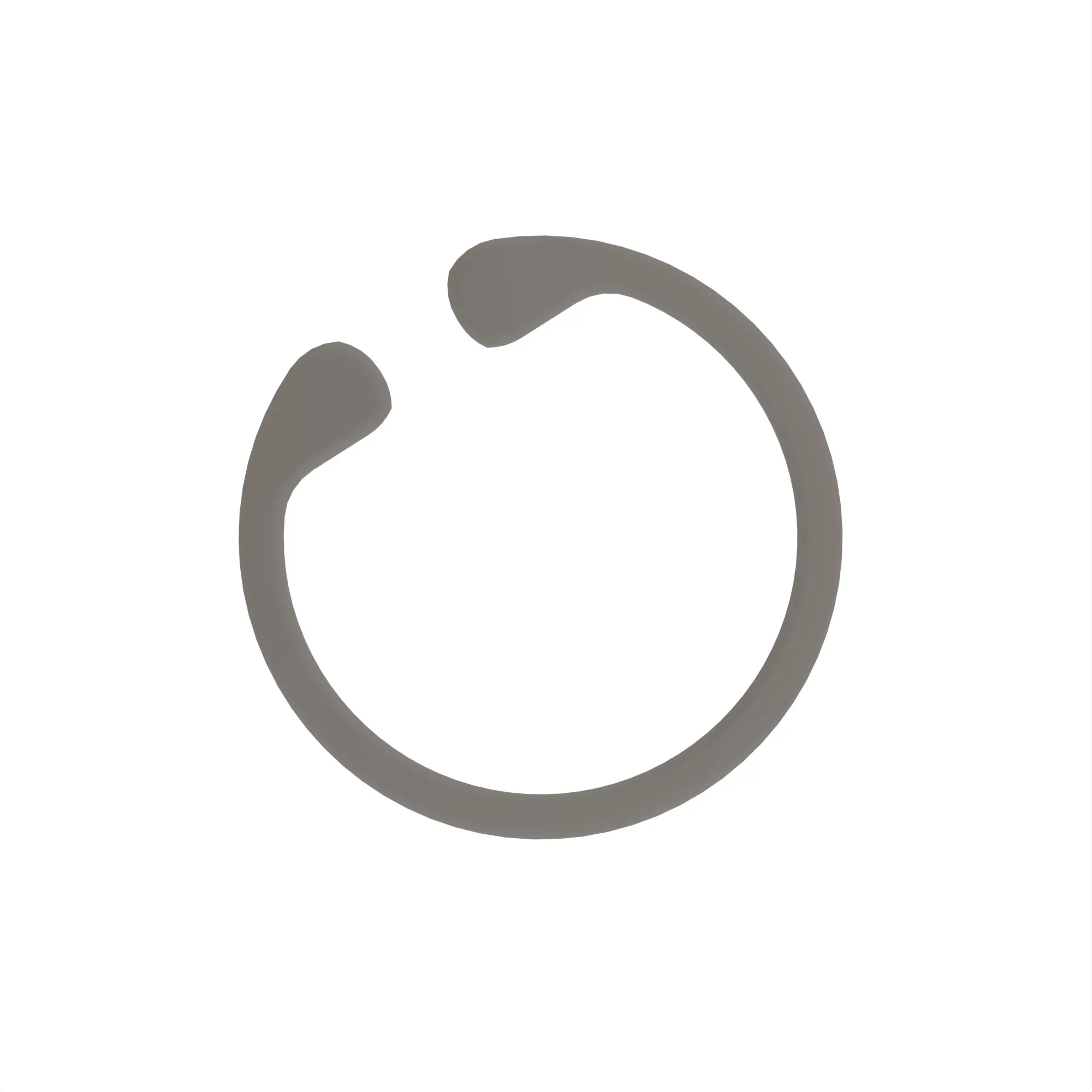 SNAP RING