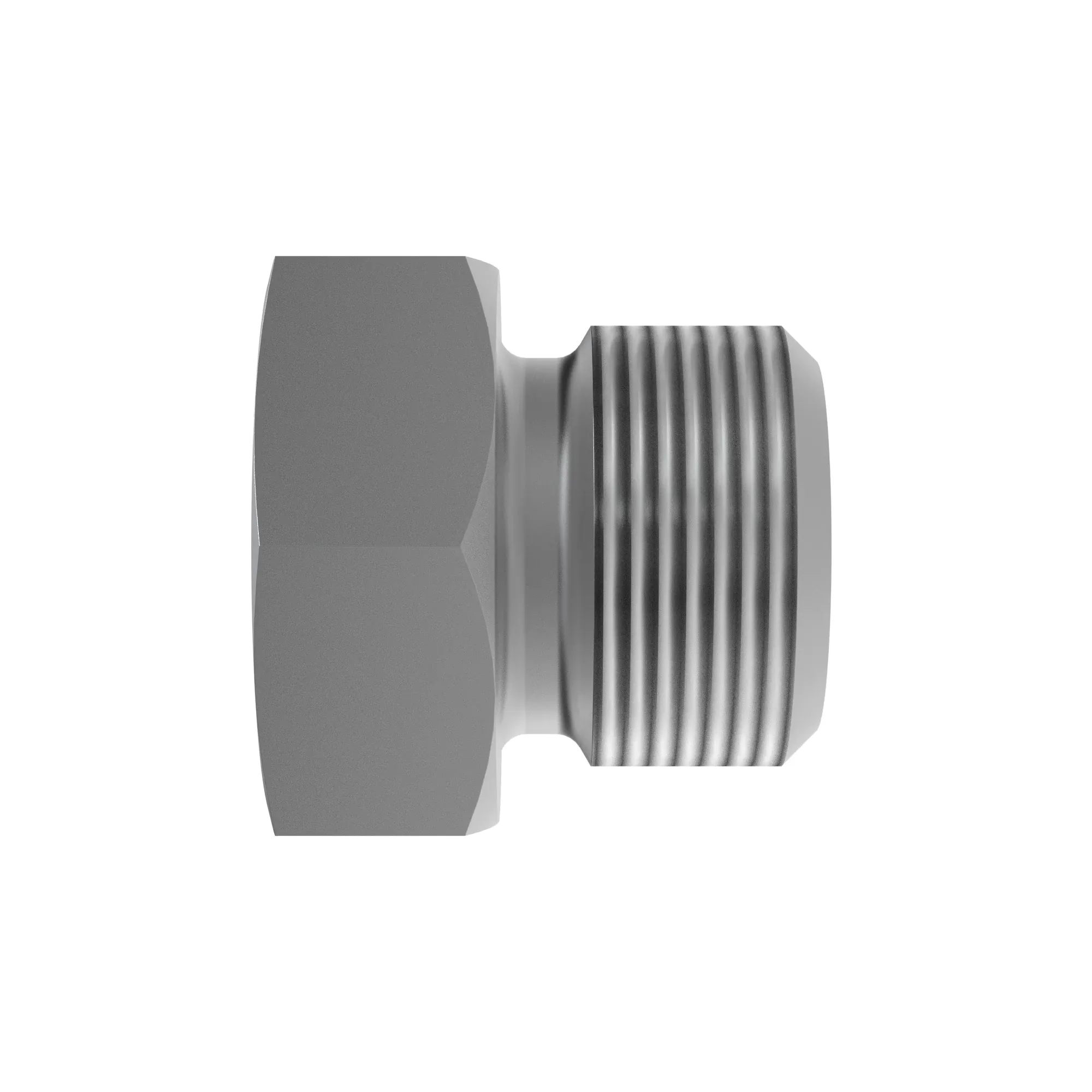 Fitting Plug