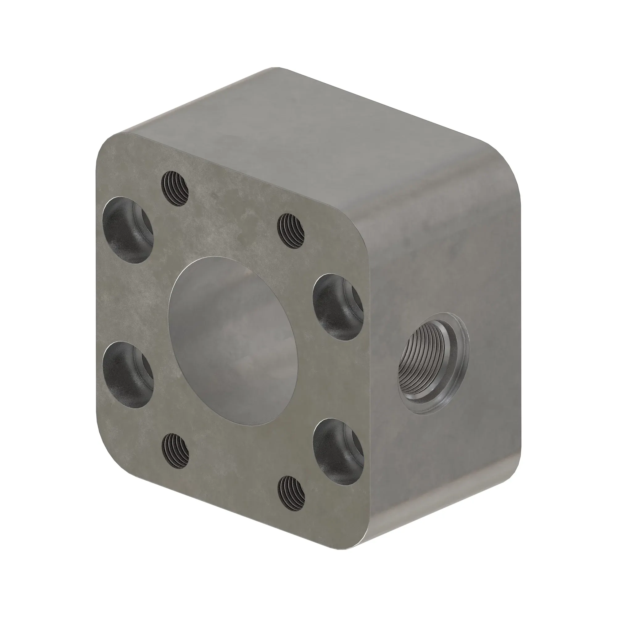 Manifold