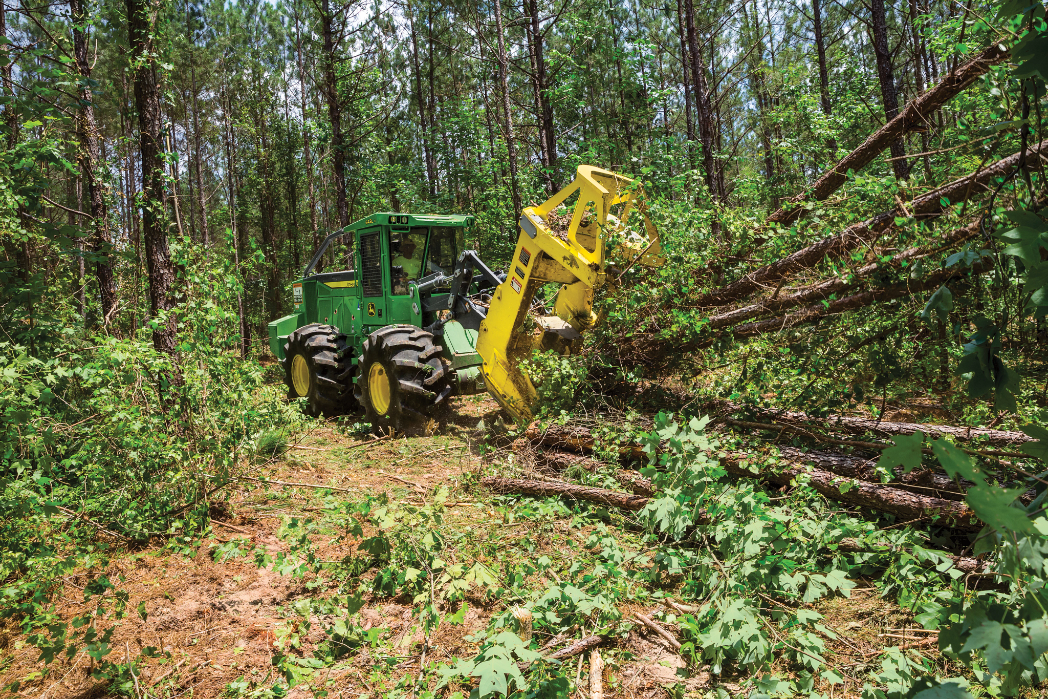 John Deere wheeled feller buncher uses a yellow cutting head to gather and move felled trees in a dense forest, navigating uneven terrain with large tires amid heavy brush and vegetation.