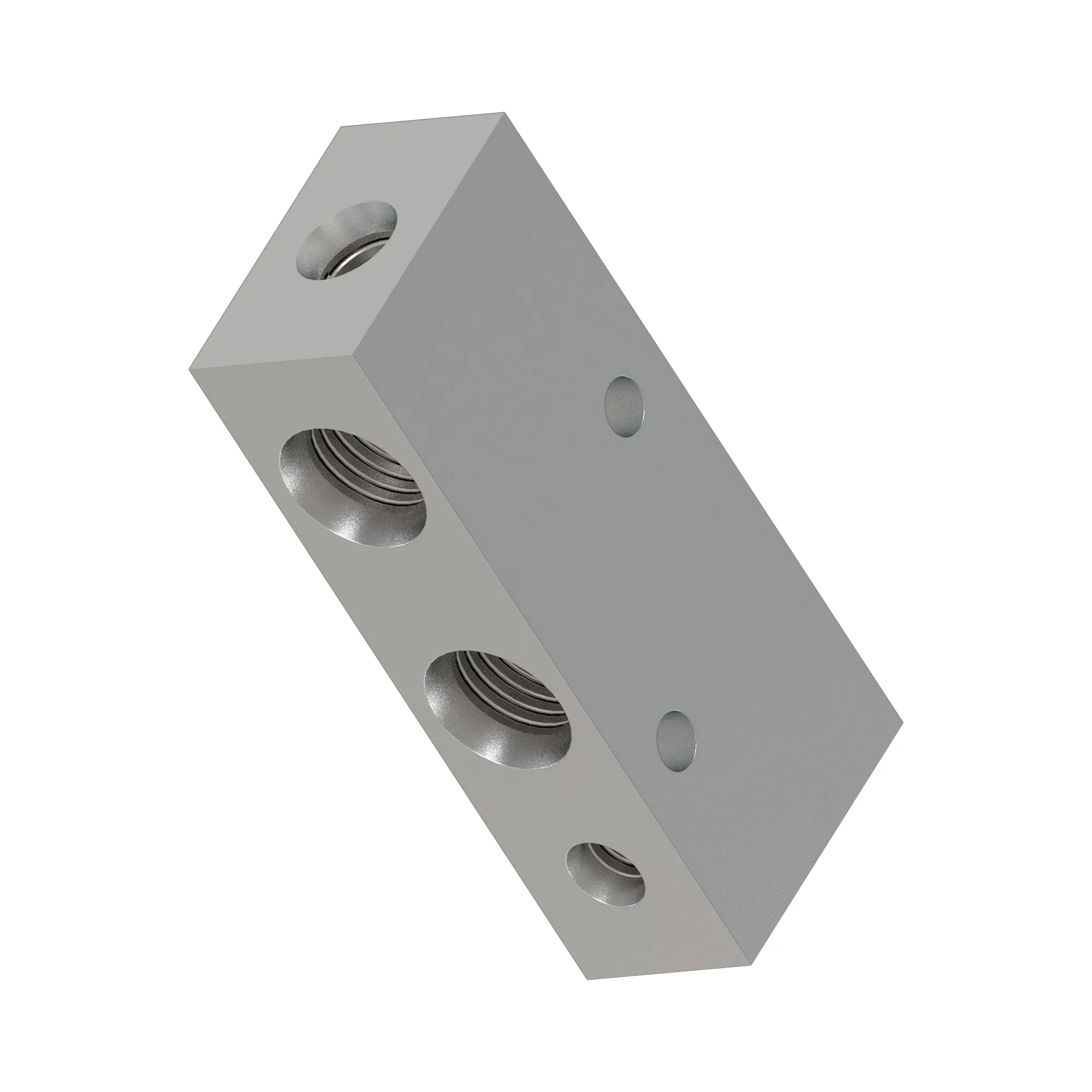 Manifold