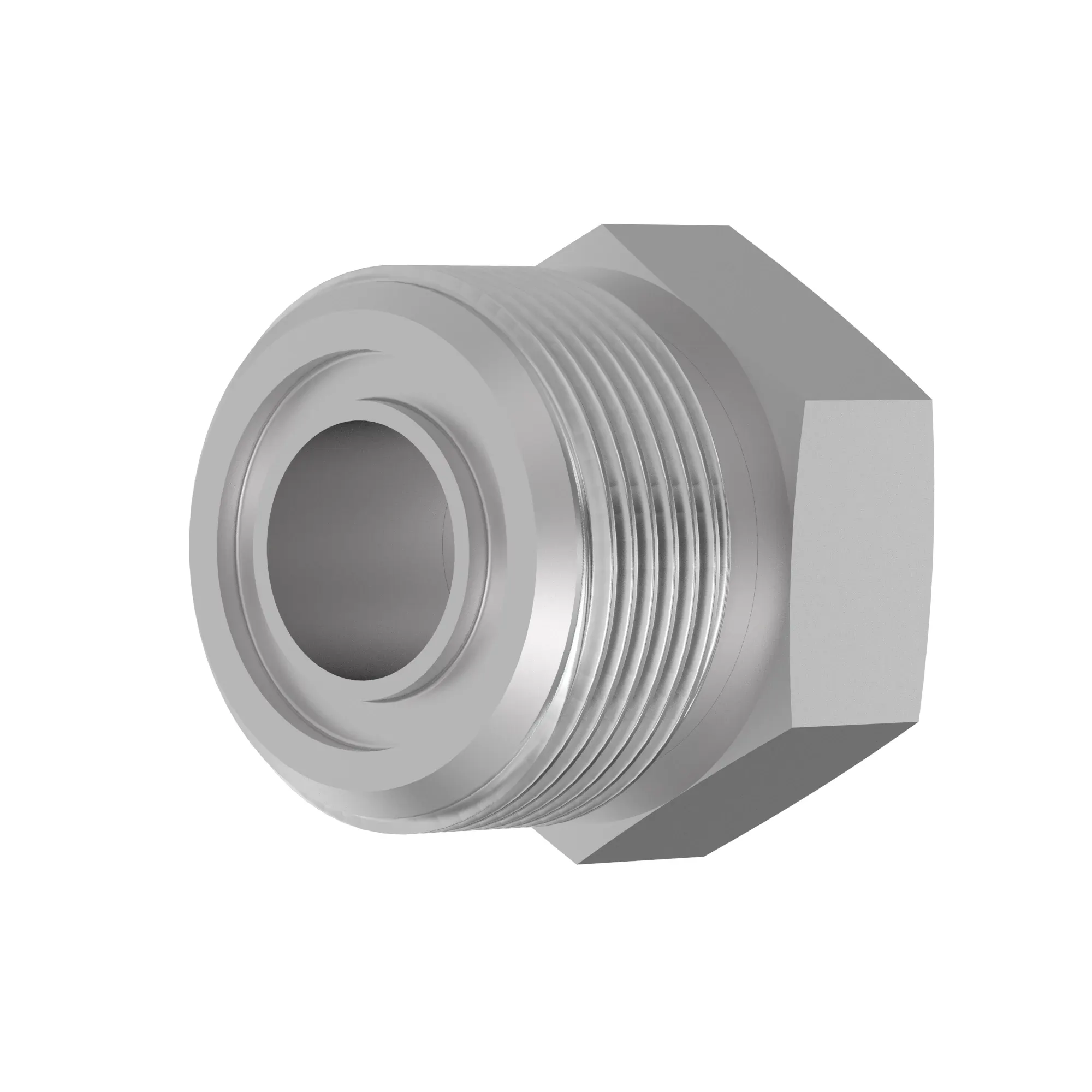 Fitting Plug