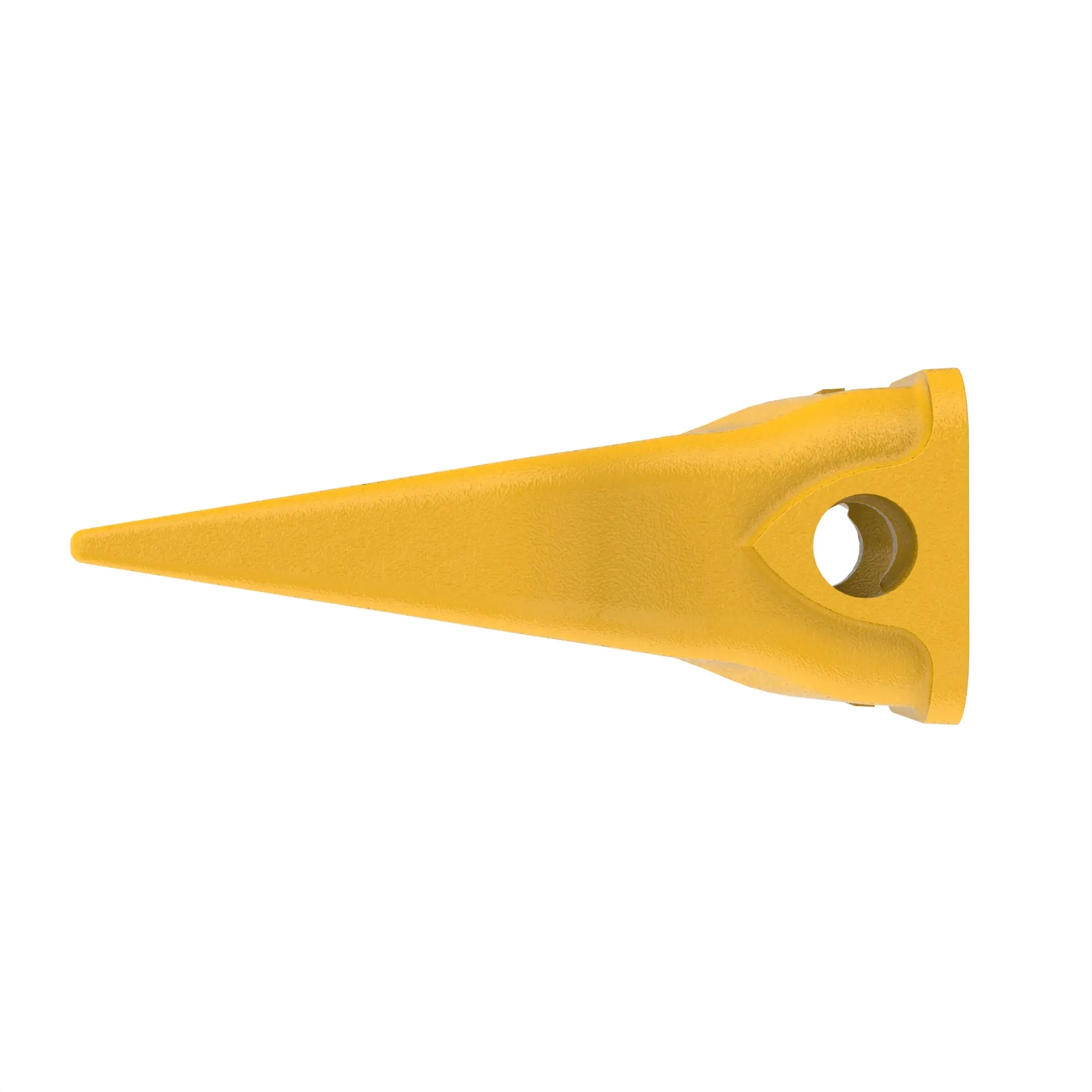 Twin Tiger Tooth