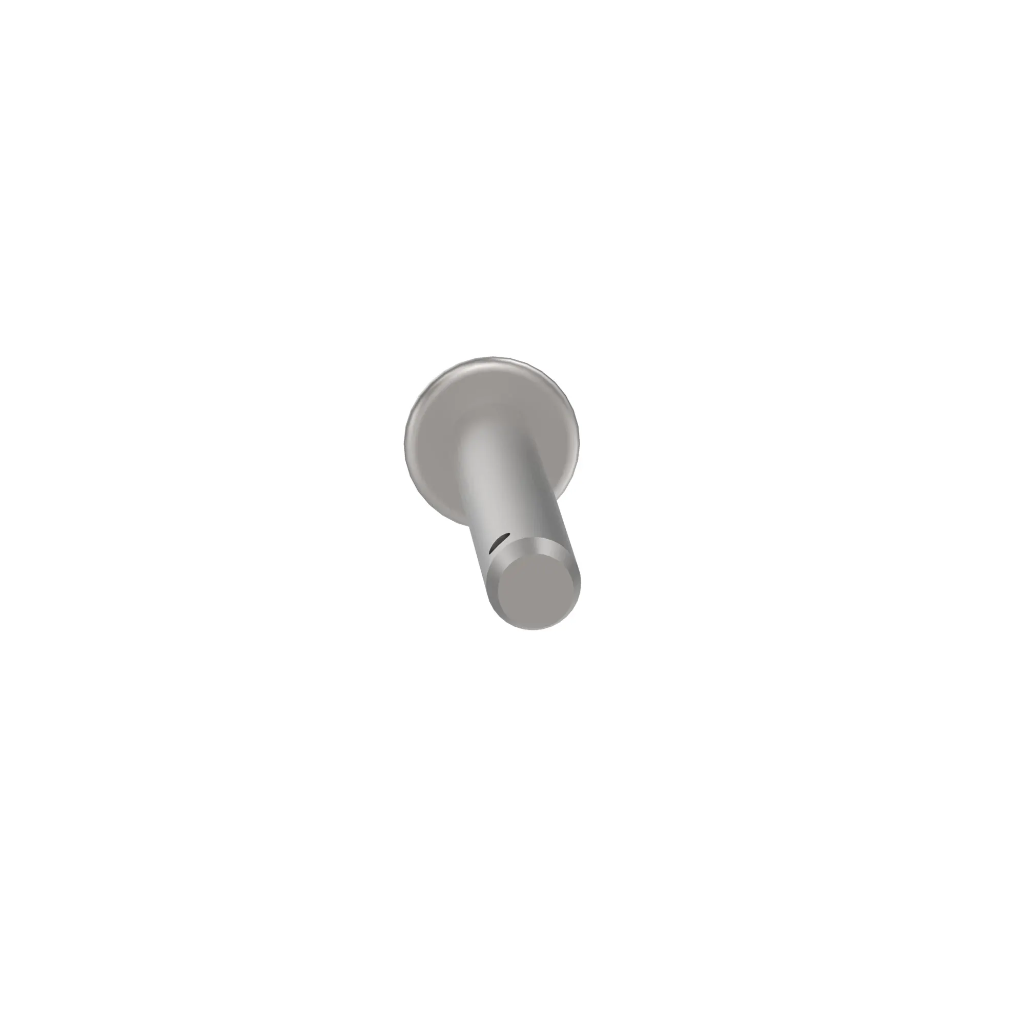 Pin Fastener