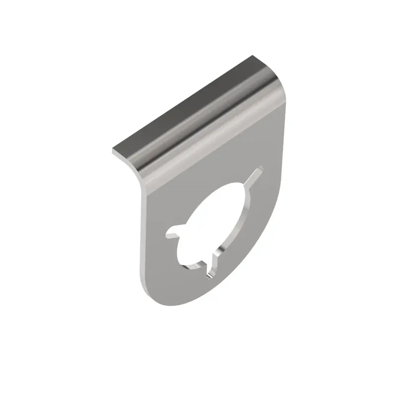 Thrust Washer