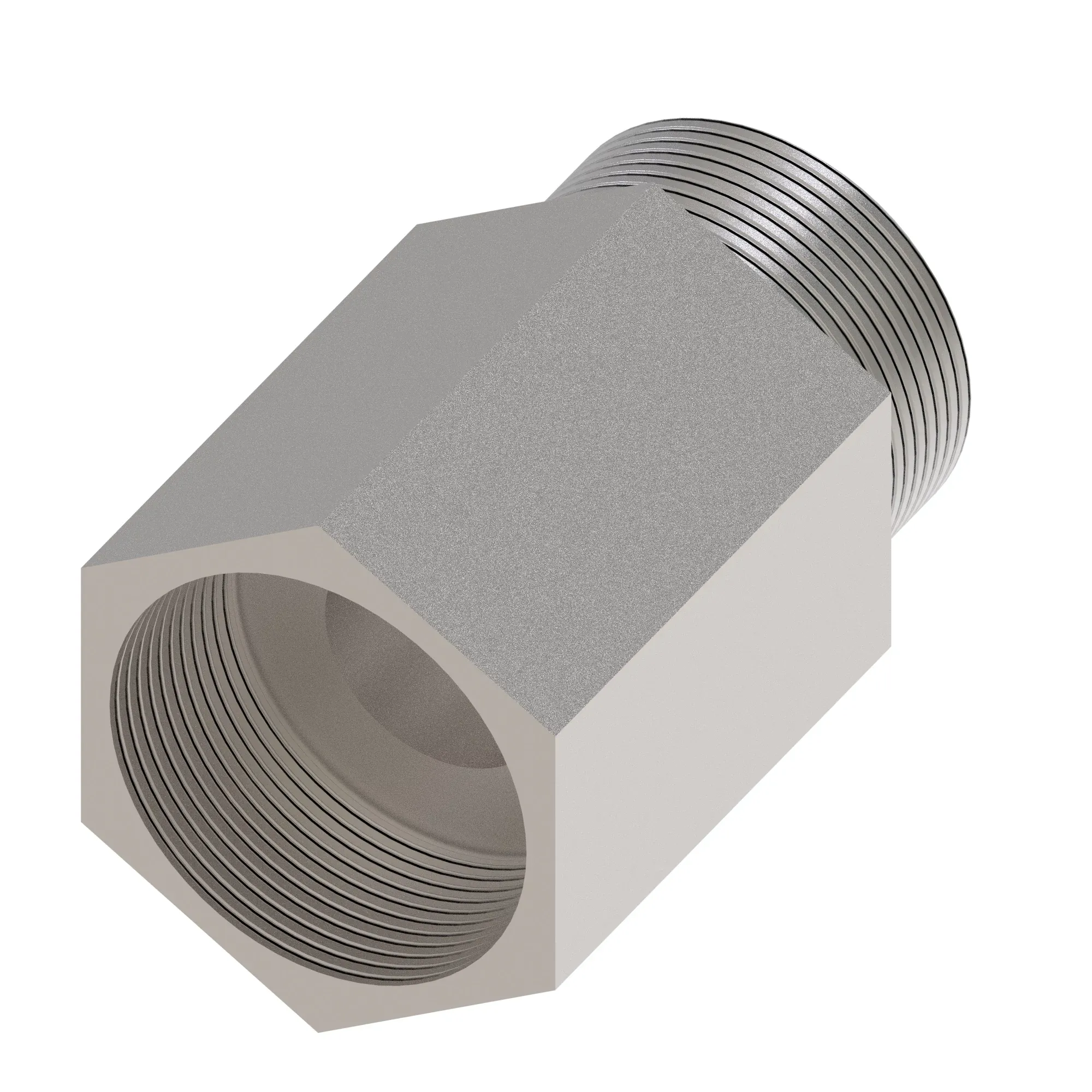 Check Valve