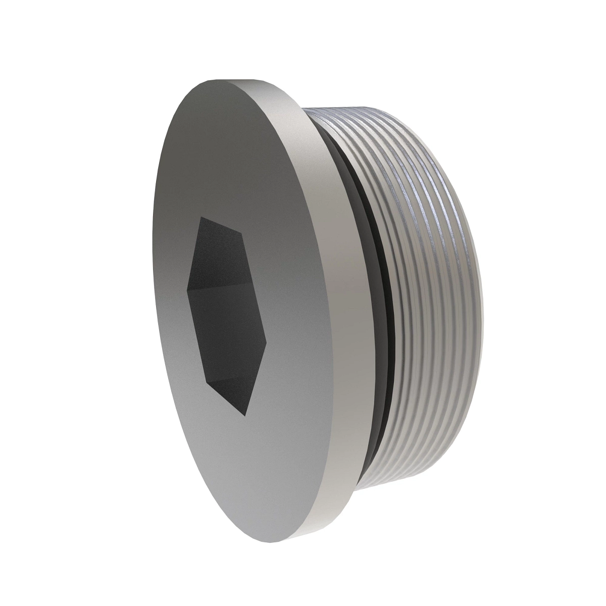 Fitting Plug, 1 5/8 With O-Ring