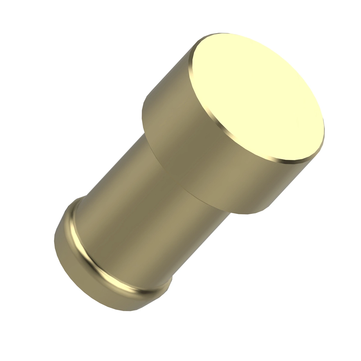Fitting Plug