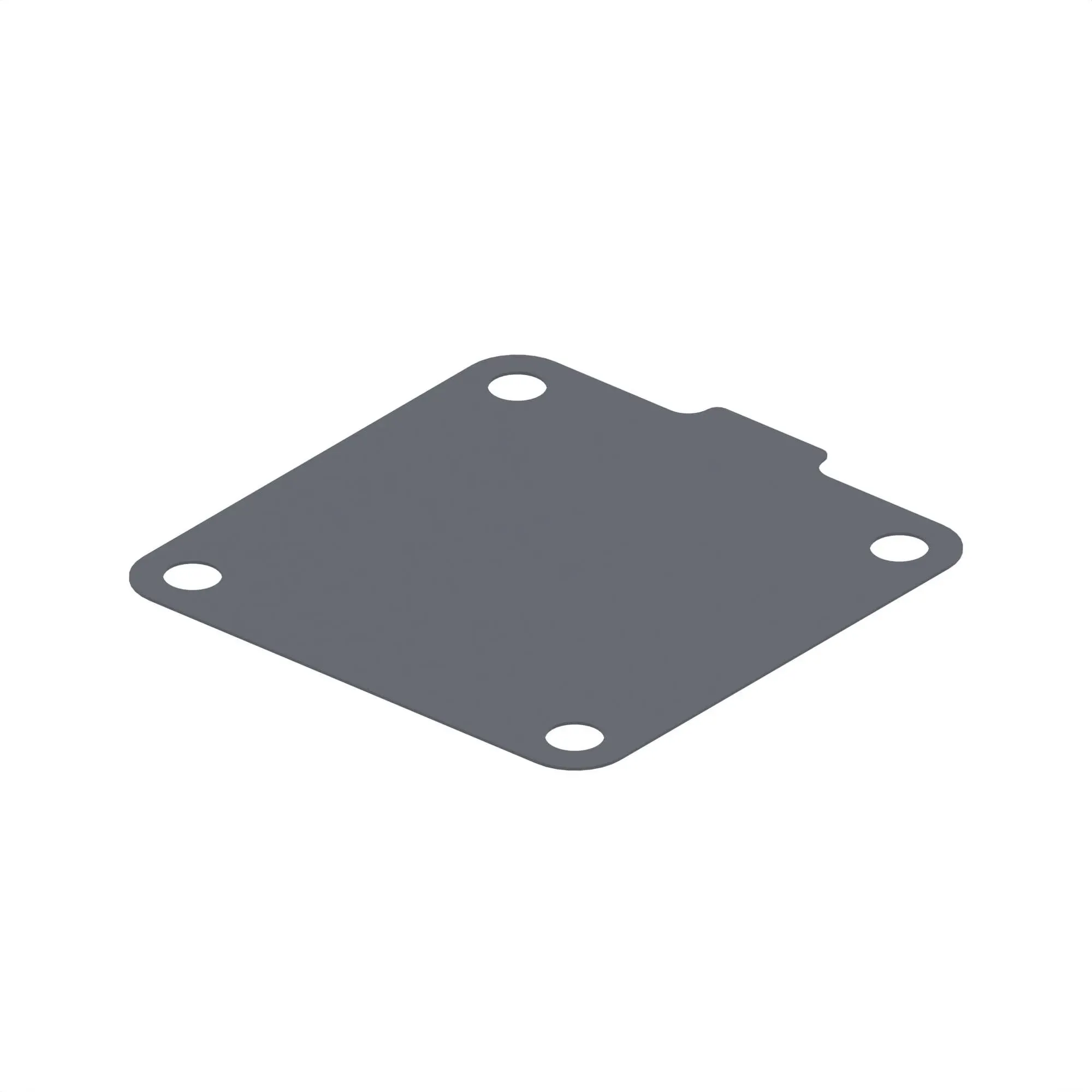 Gasket