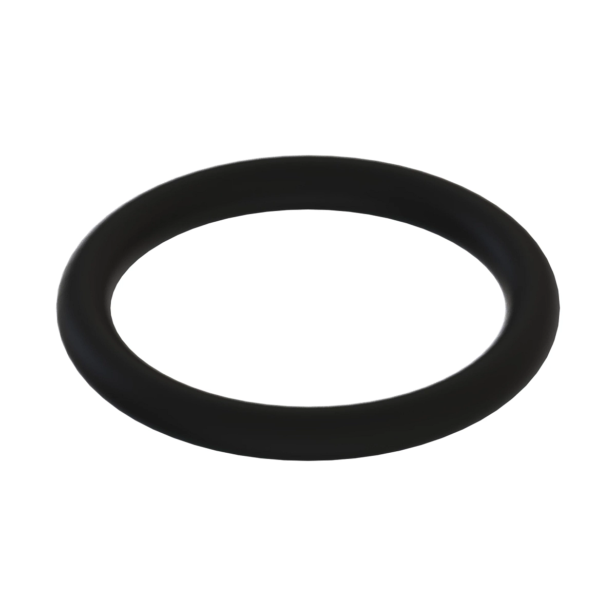 Sealing Ring, O Ring