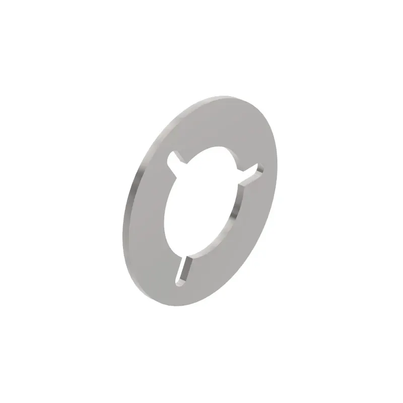 Thrust Washer