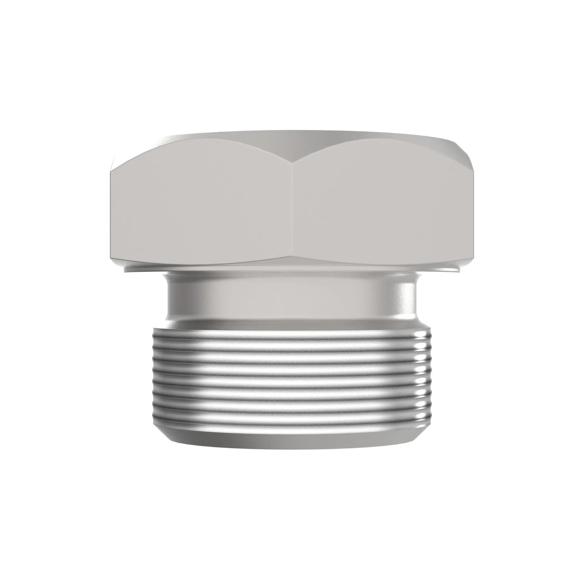 Fitting Plug