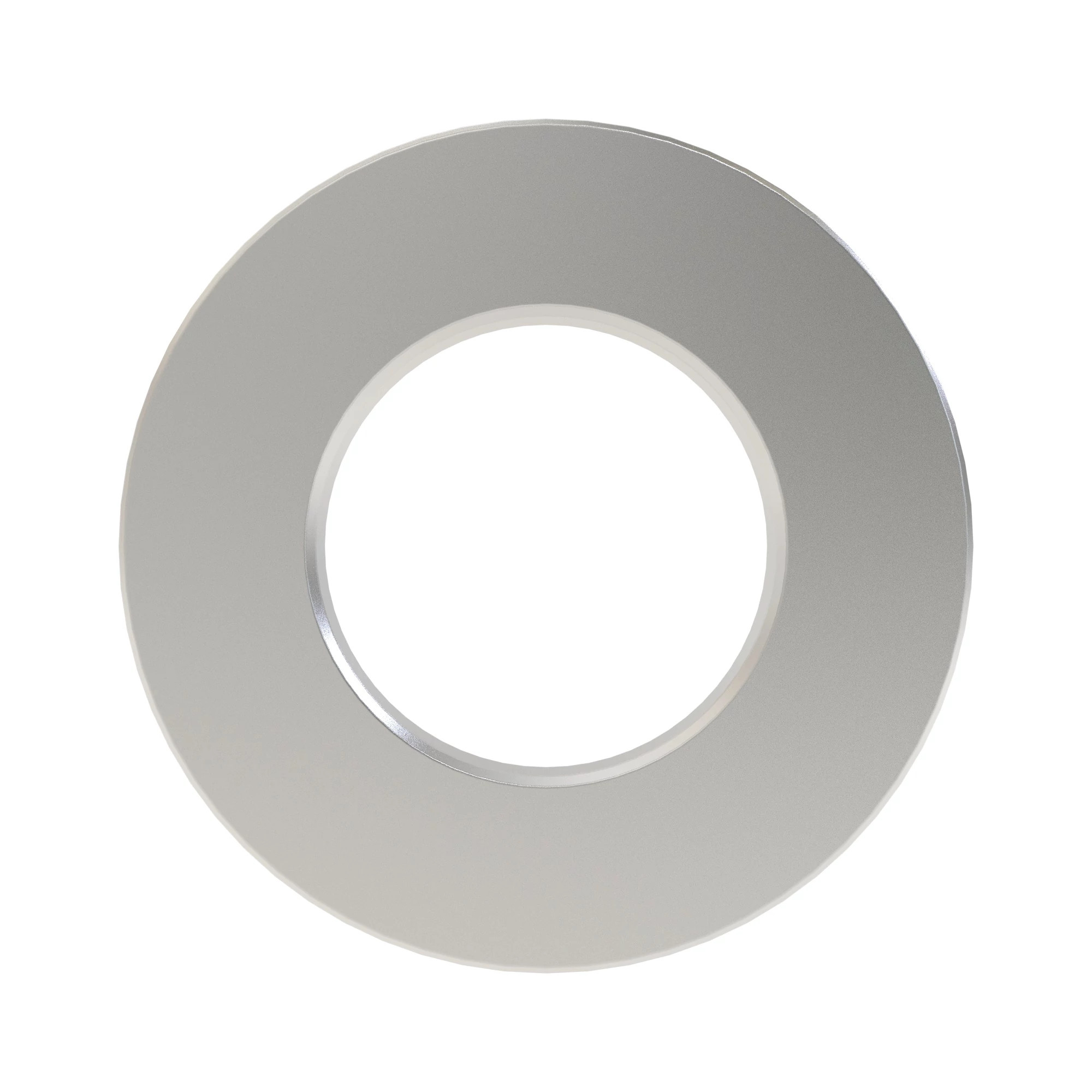 R127571: Brake Piston