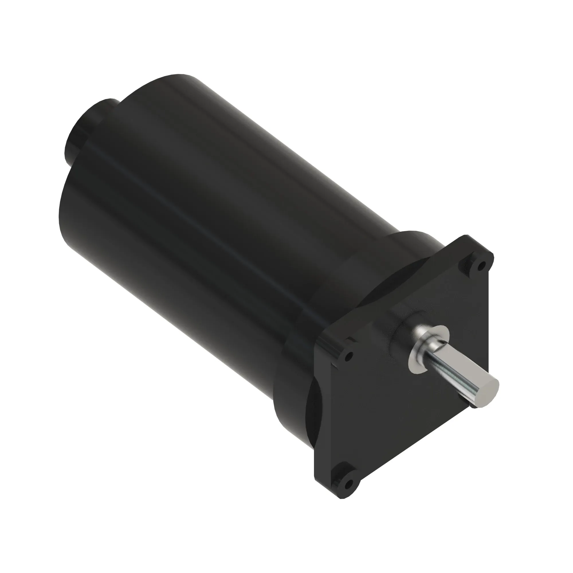 ELECTRIC MOTOR