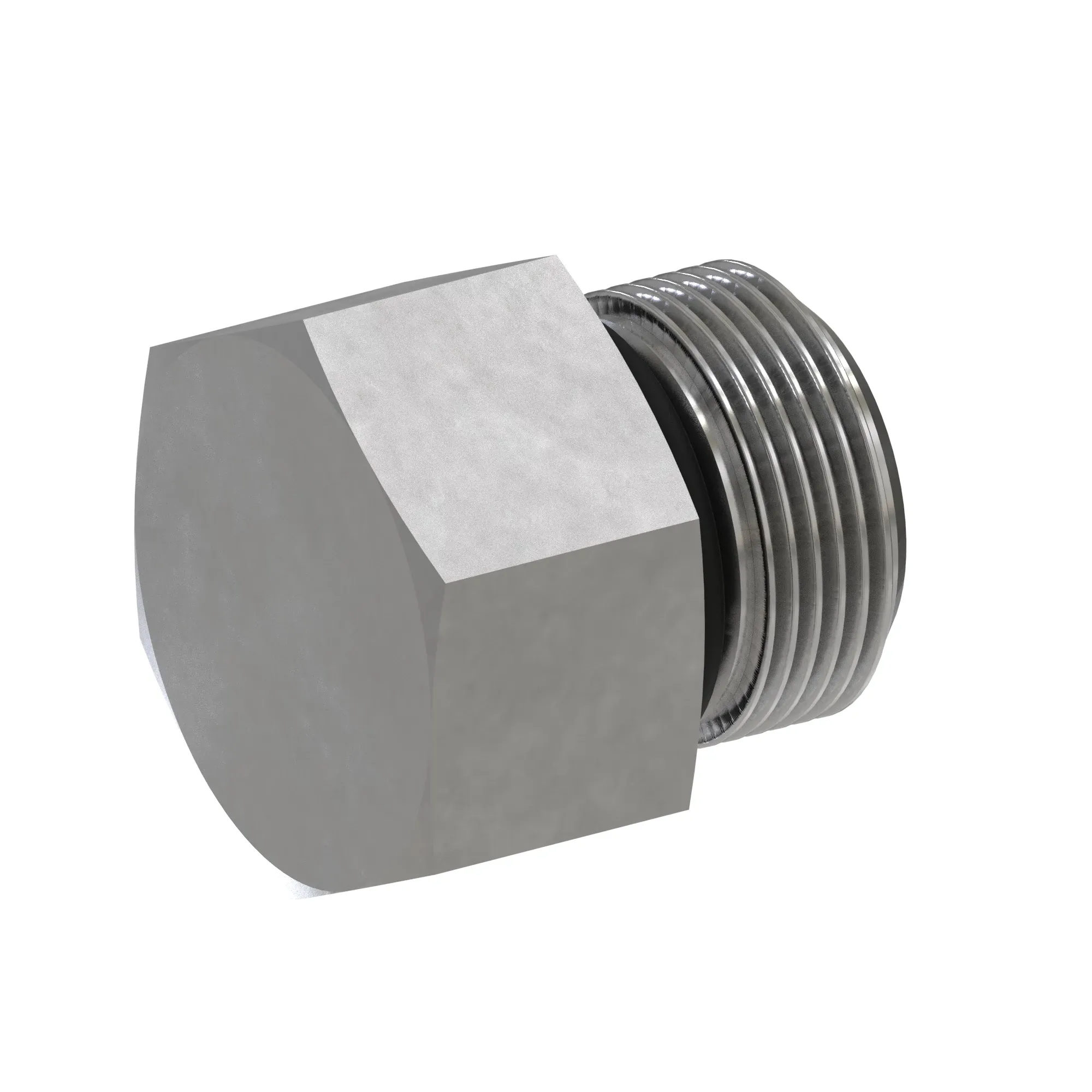 Fitting Plug Assembly
