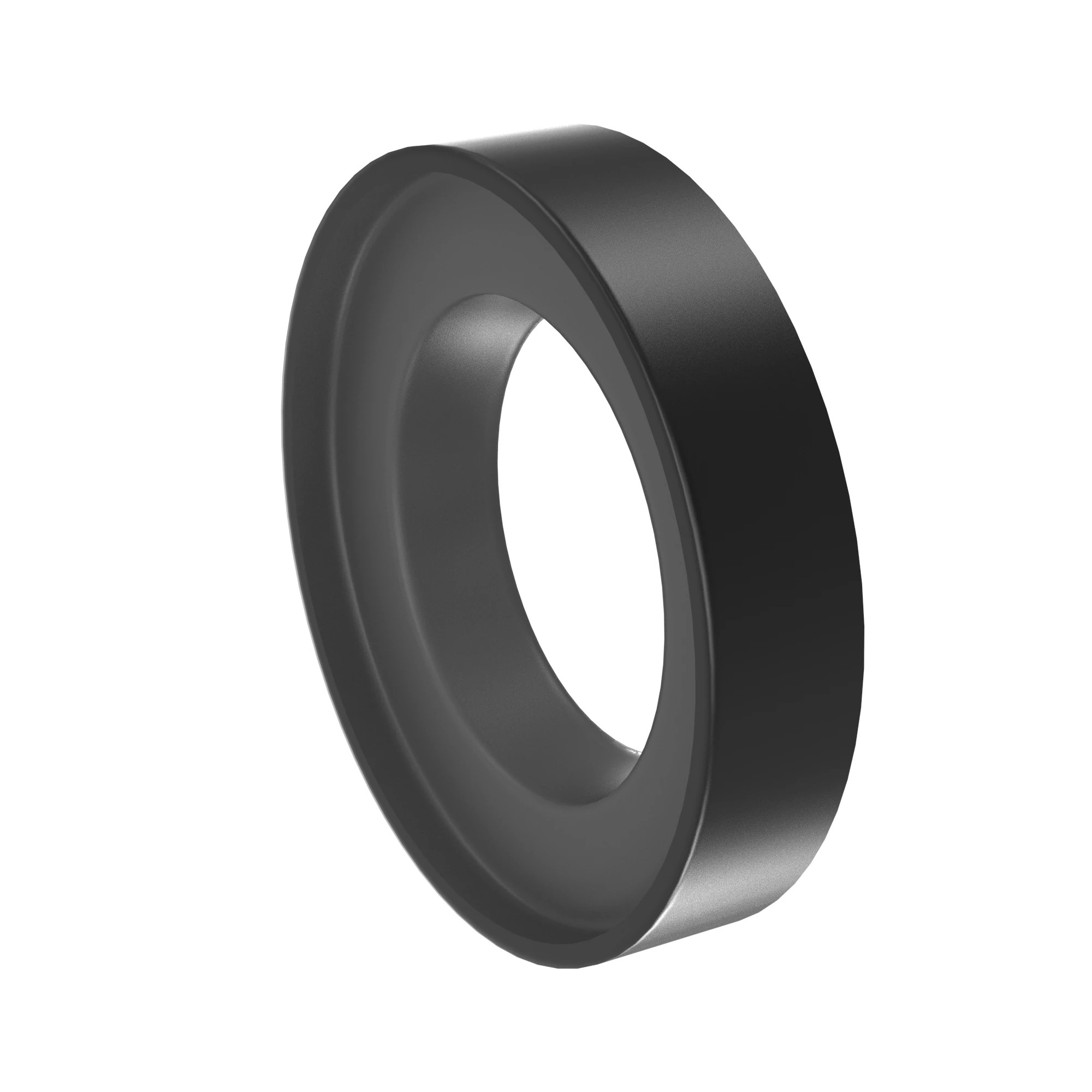 John Deere Internal Oil Seal - B13876